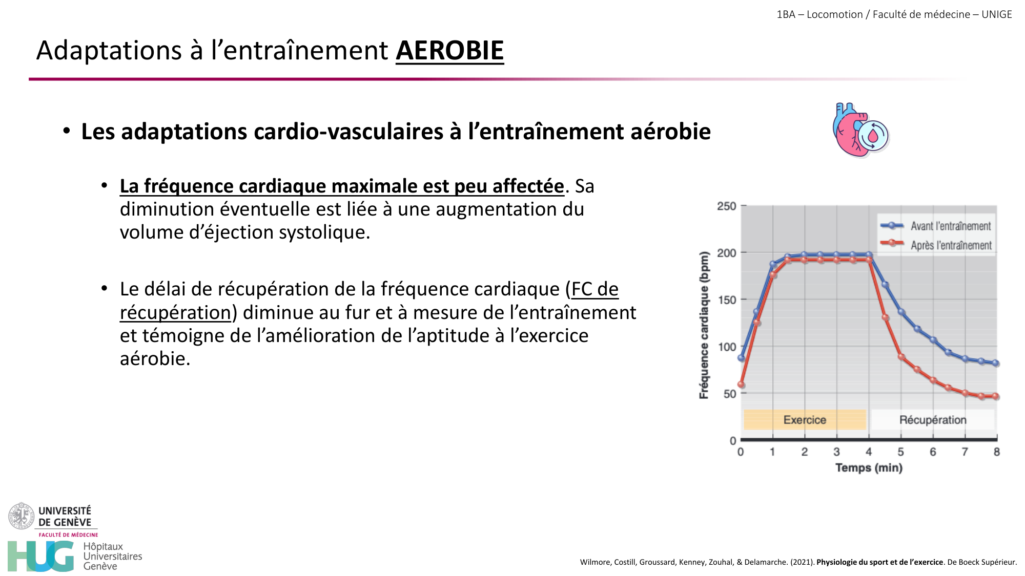 1BA 2025-2026 2026.04.16 - Entraînement physique - Ivo NETO SILVA page 37