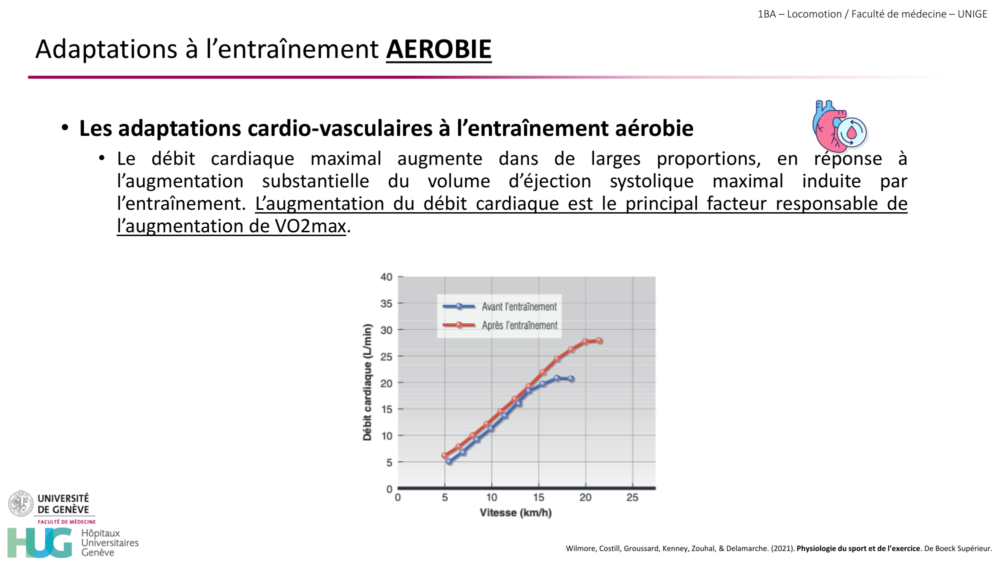 1BA 2025-2026 2026.04.16 - Entraînement physique - Ivo NETO SILVA page 38