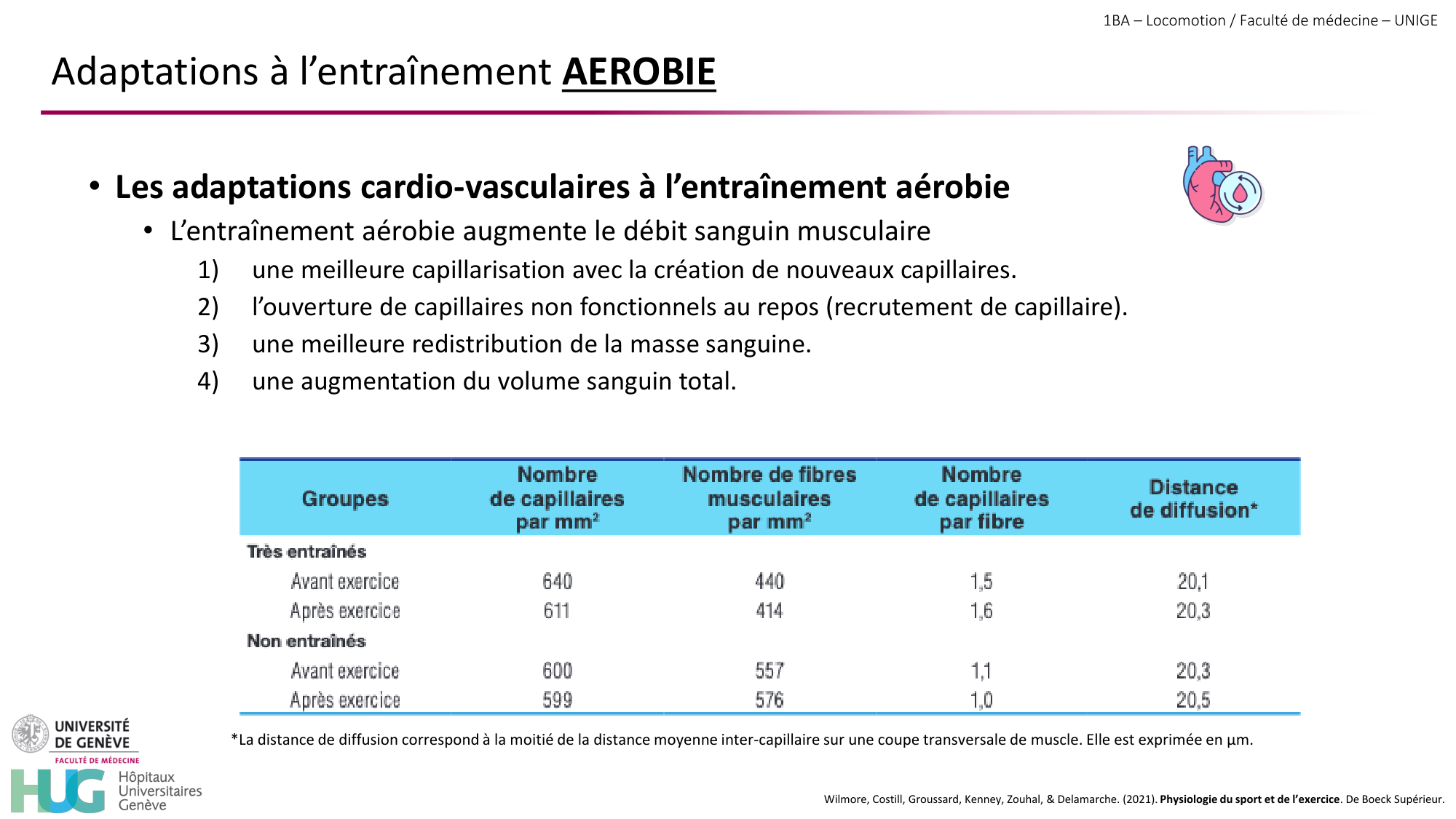 1BA 2025-2026 2026.04.16 - Entraînement physique - Ivo NETO SILVA page 39