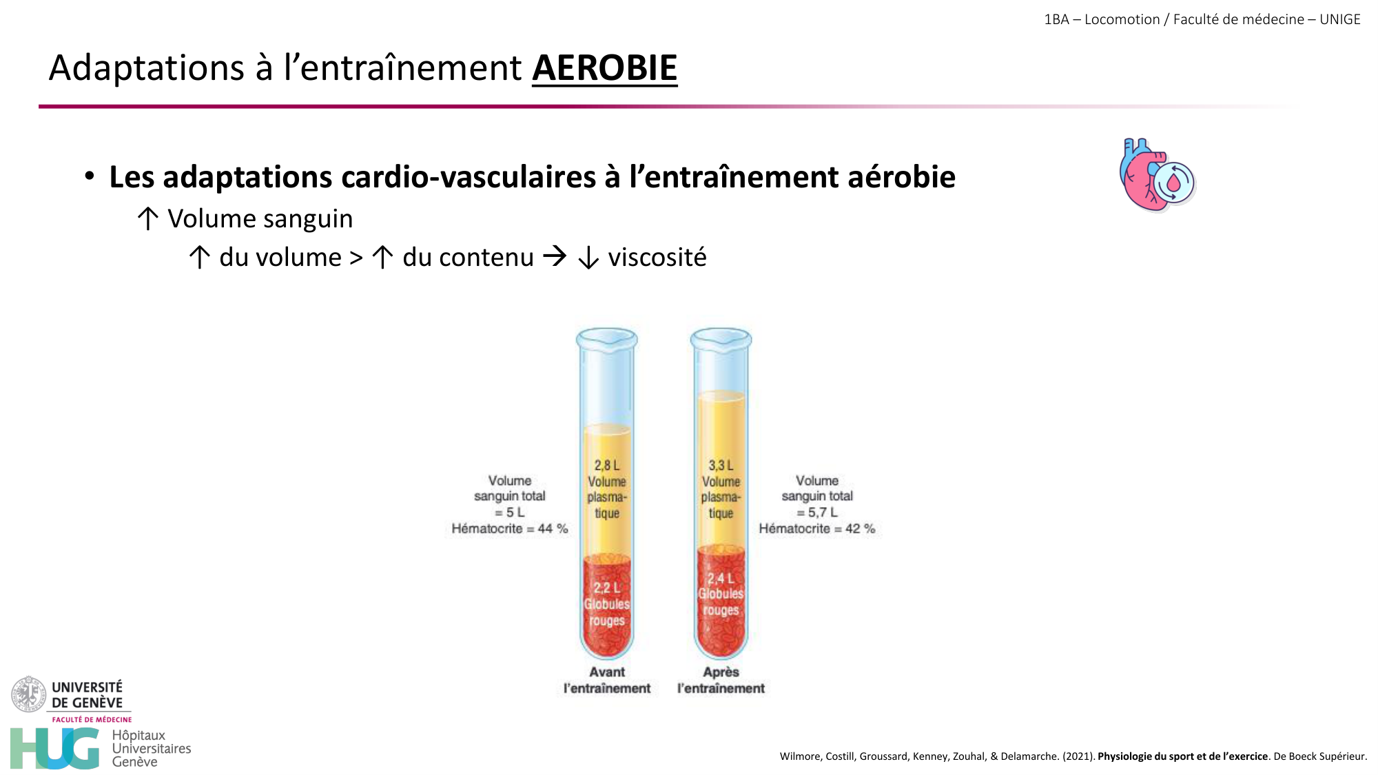 1BA 2025-2026 2026.04.16 - Entraînement physique - Ivo NETO SILVA page 40