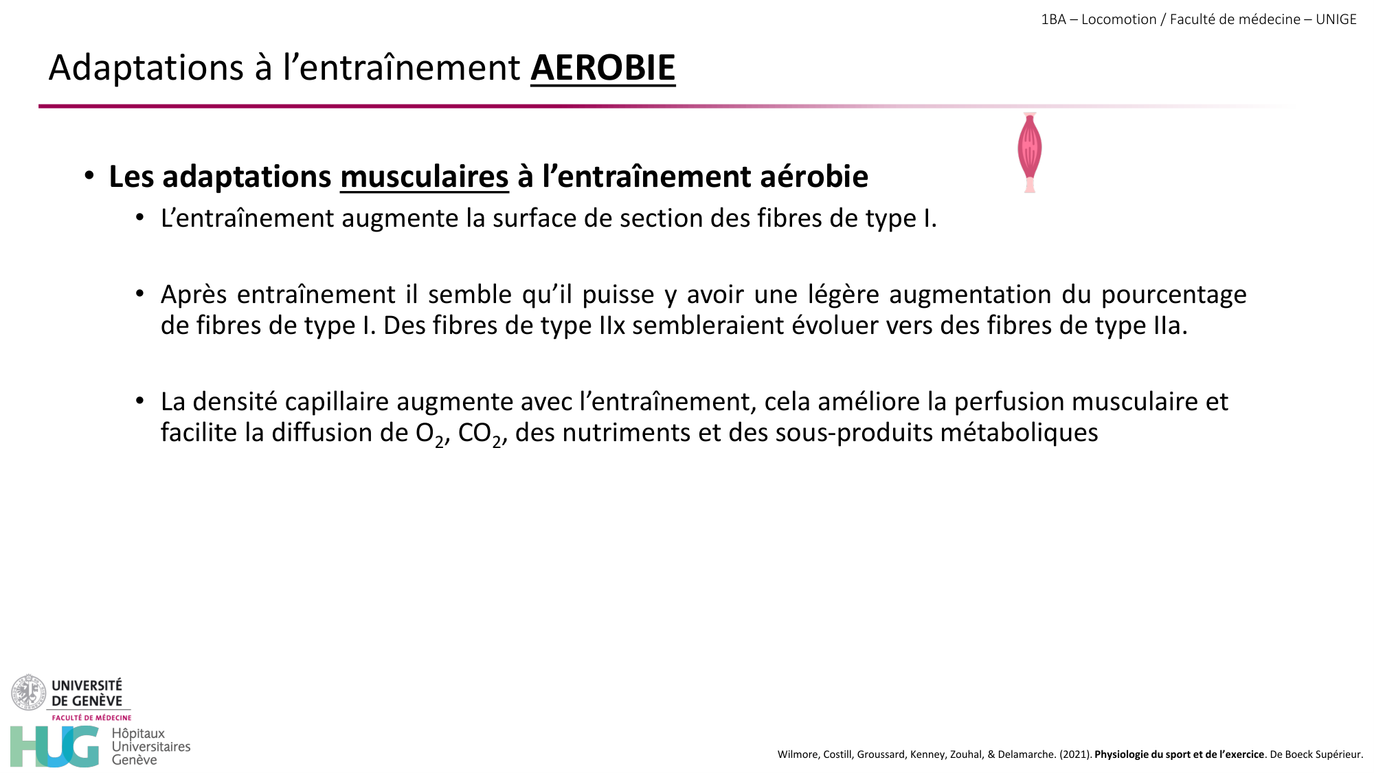 1BA 2025-2026 2026.04.16 - Entraînement physique - Ivo NETO SILVA page 42