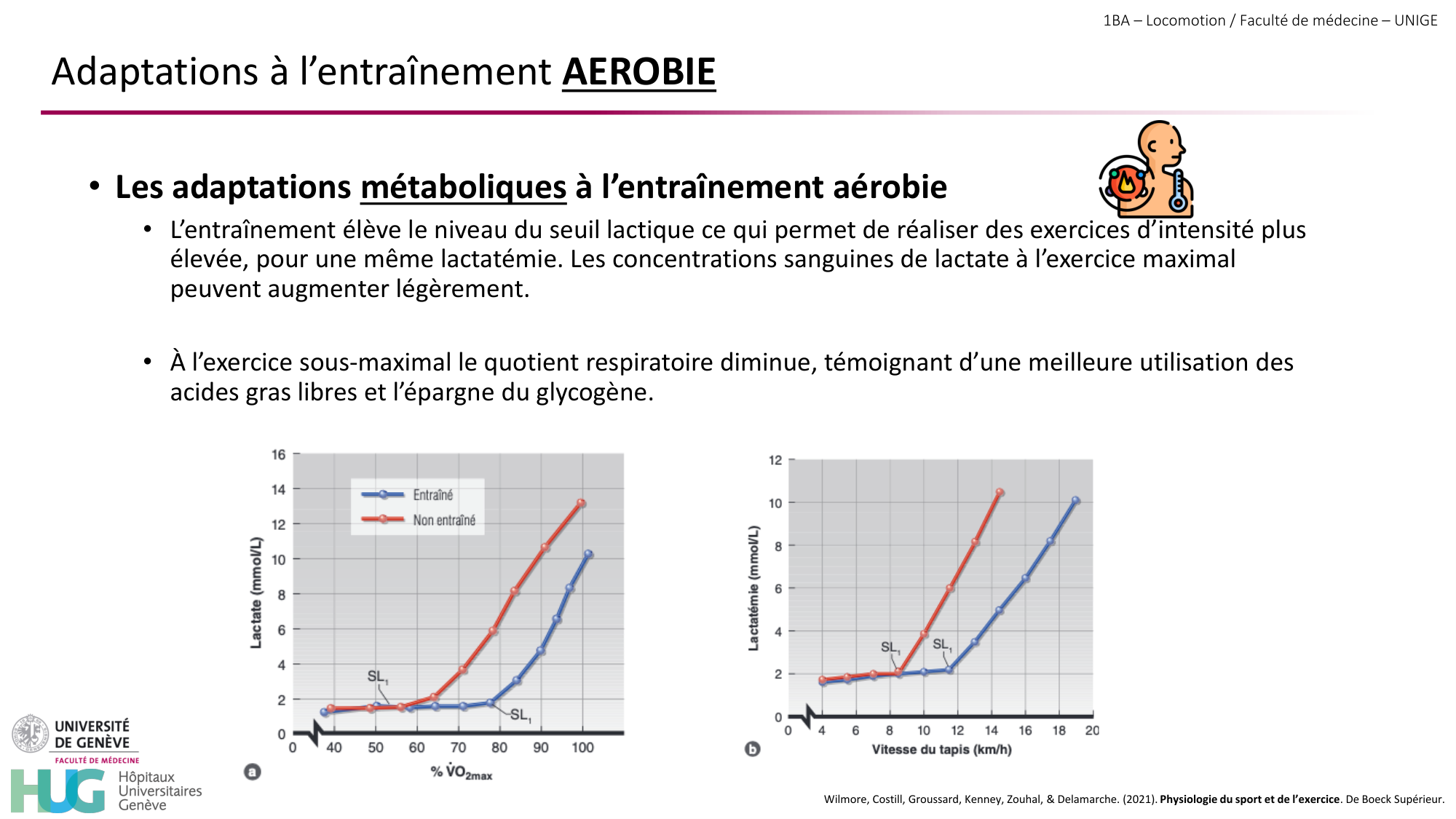 1BA 2025-2026 2026.04.16 - Entraînement physique - Ivo NETO SILVA page 44