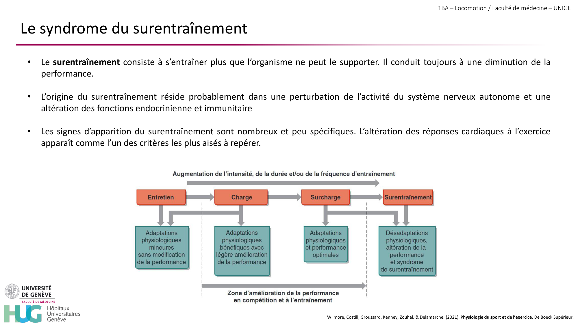 1BA 2025-2026 2026.04.16 - Entraînement physique - Ivo NETO SILVA page 46