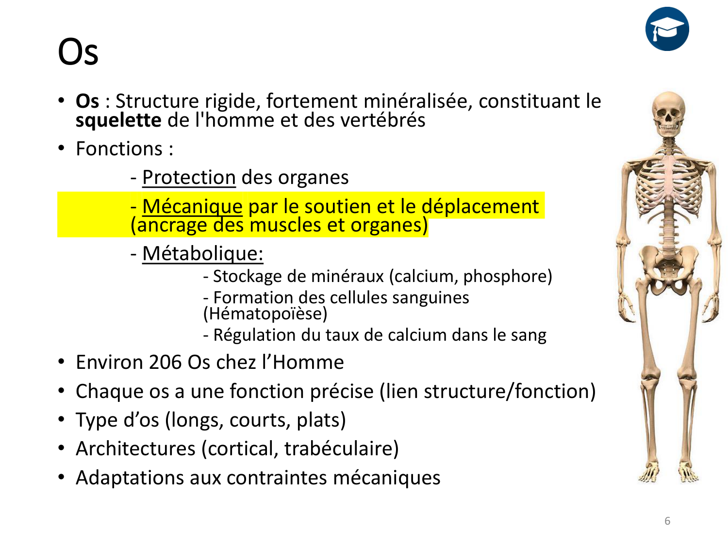 2-ProductionDuMouvement-2026 page 6