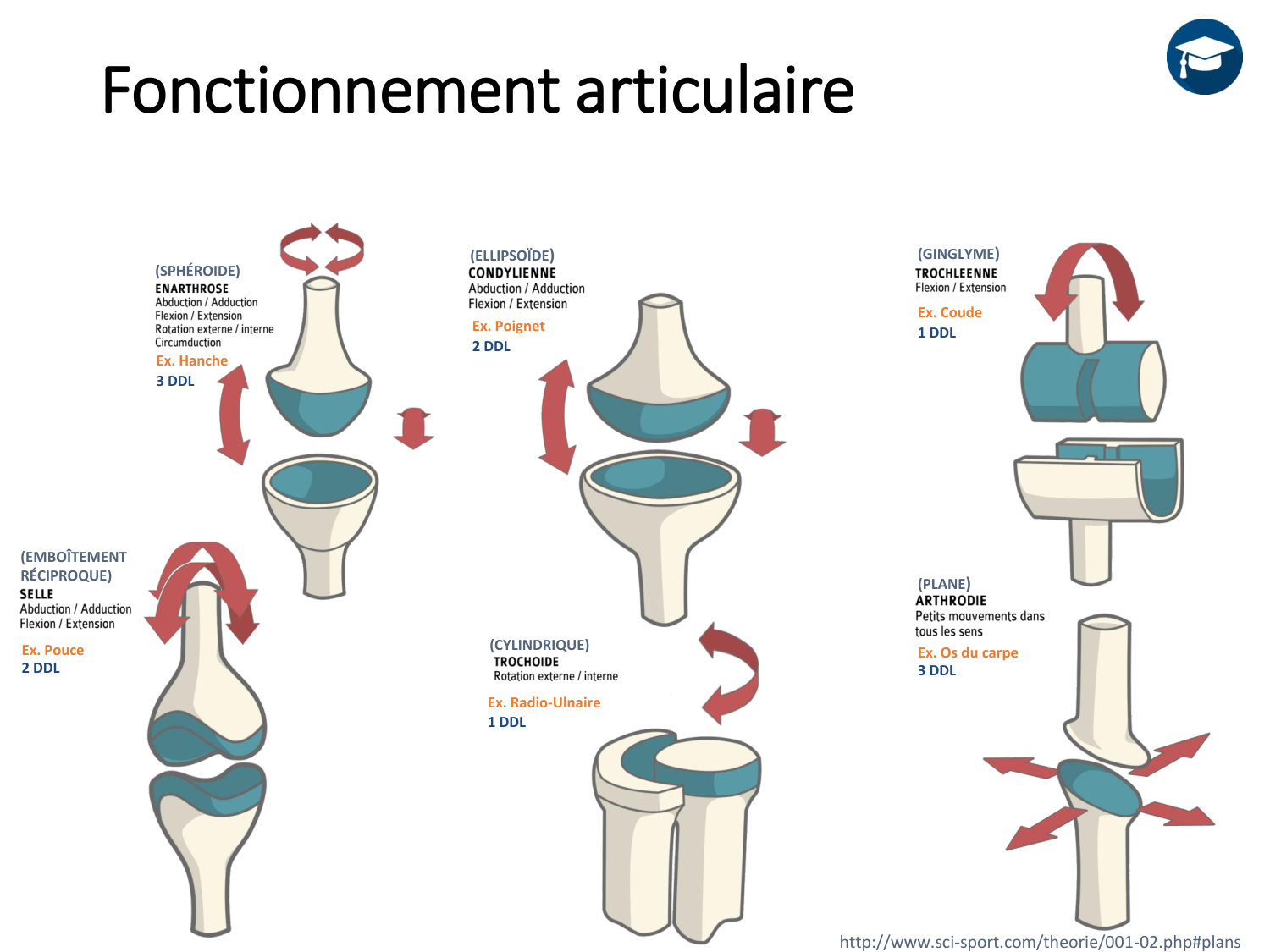 2-ProductionDuMouvement-2026 page 13