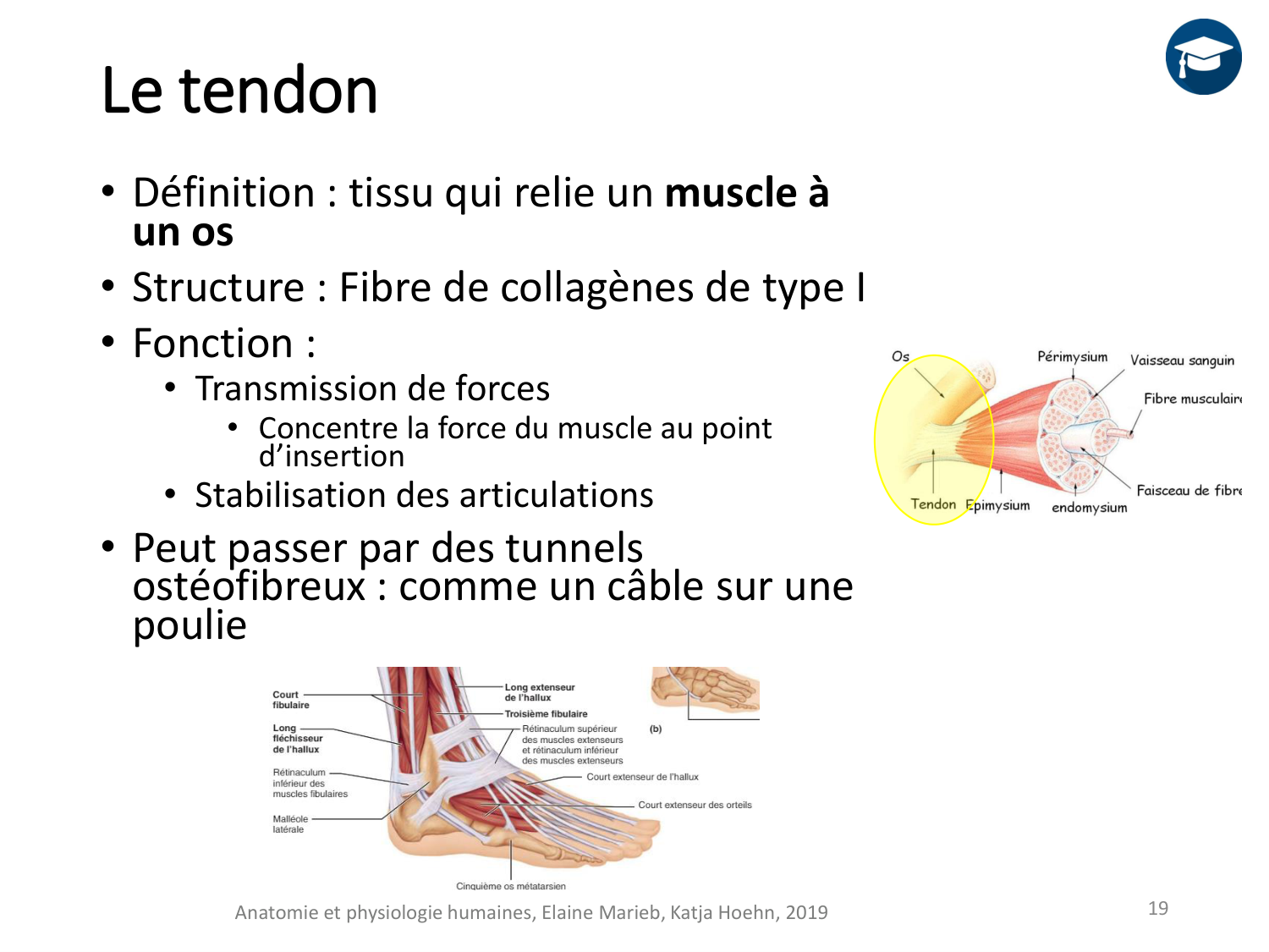 2-ProductionDuMouvement-2026 page 19