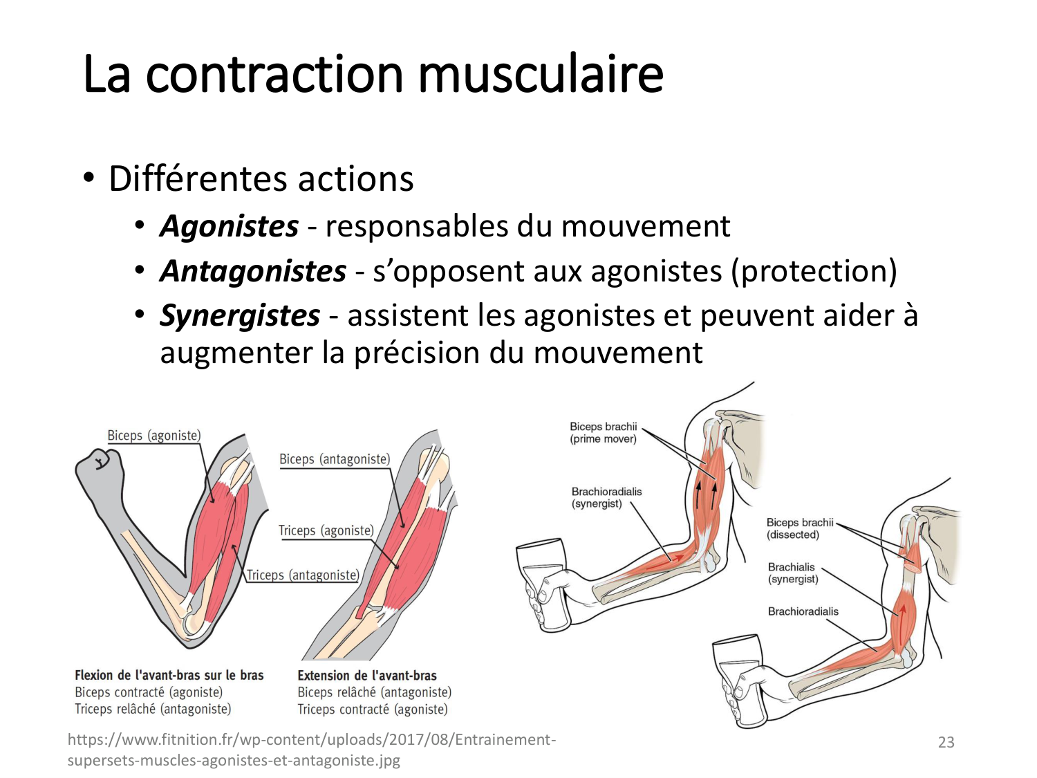 2-ProductionDuMouvement-2026 page 23