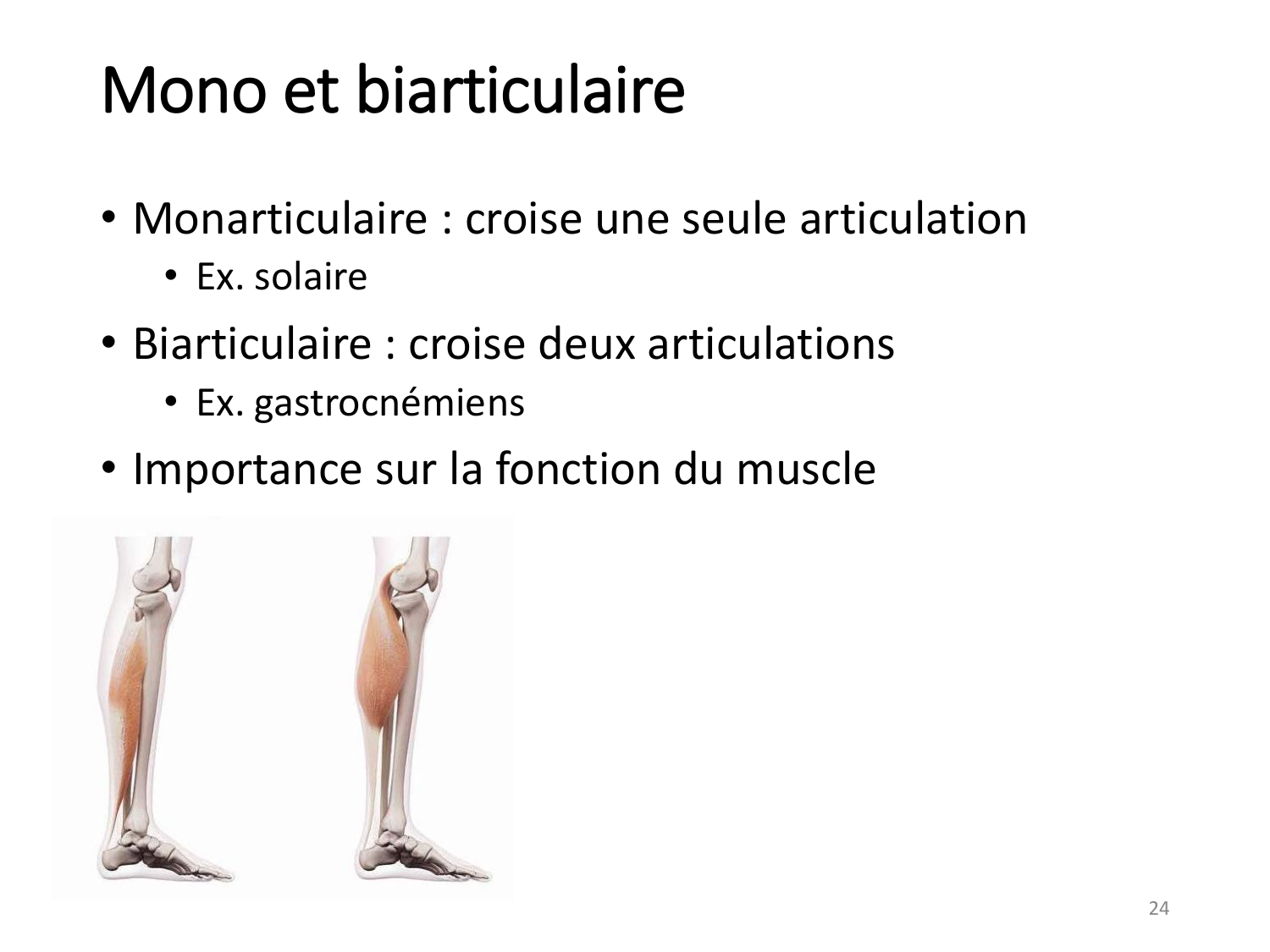 2-ProductionDuMouvement-2026 page 24