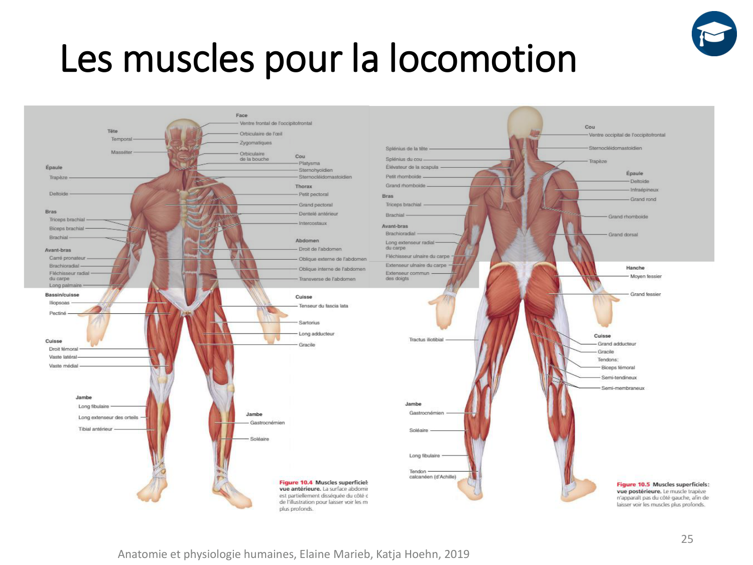 2-ProductionDuMouvement-2026 page 25
