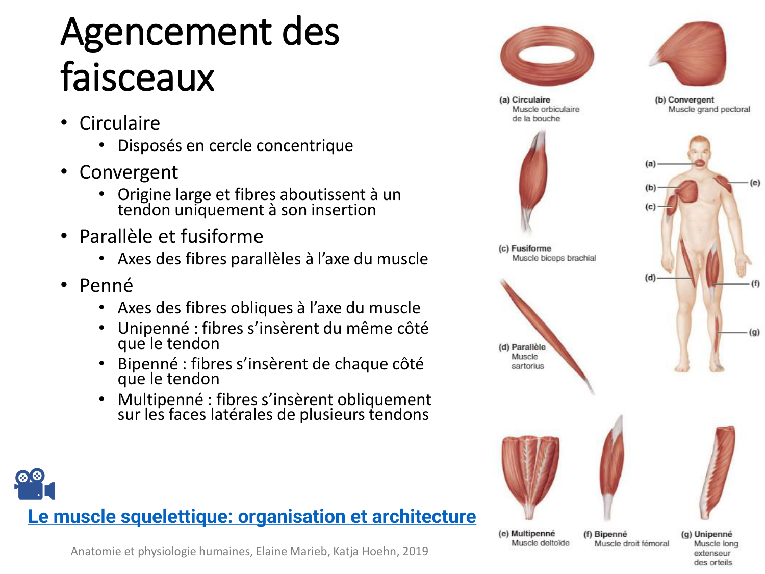 2-ProductionDuMouvement-2026 page 26
