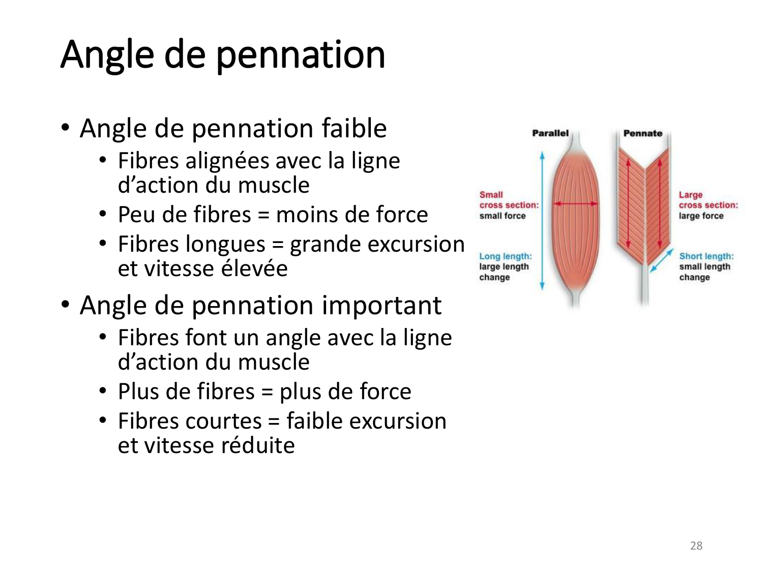 2-ProductionDuMouvement-2026 page 28