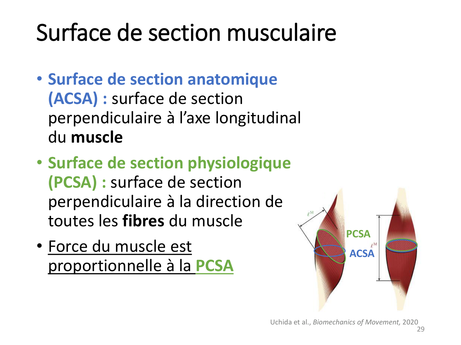 2-ProductionDuMouvement-2026 page 29
