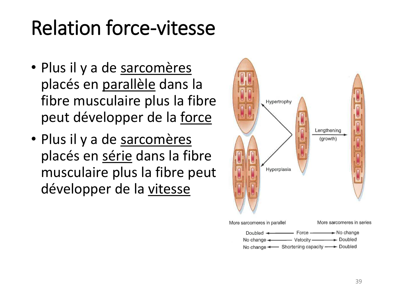 2-ProductionDuMouvement-2026 page 39
