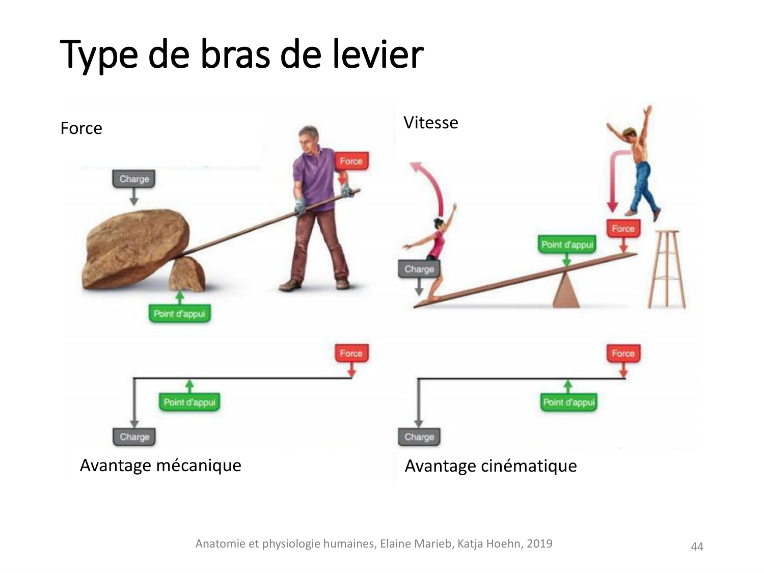 2-ProductionDuMouvement-2026 page 44