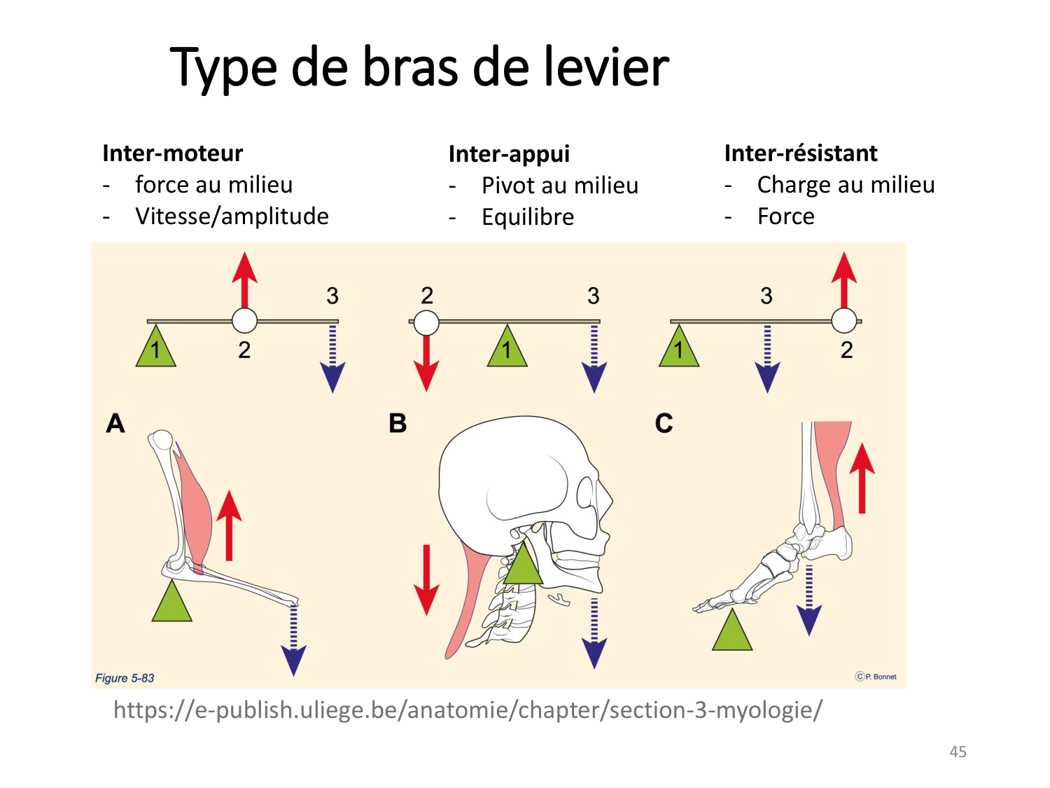 2-ProductionDuMouvement-2026 page 45