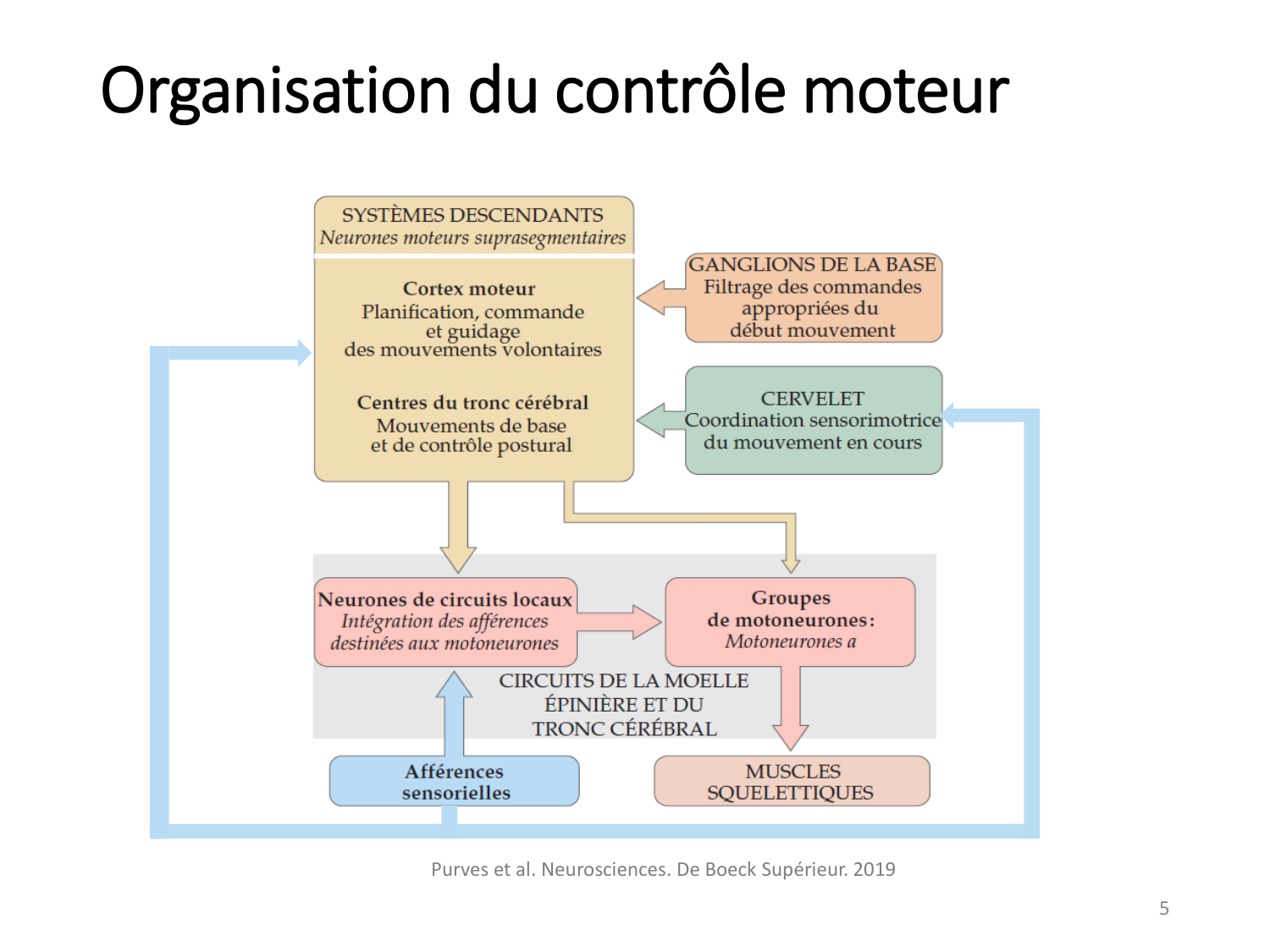 3-ControleDuMouvement 2026 page 5