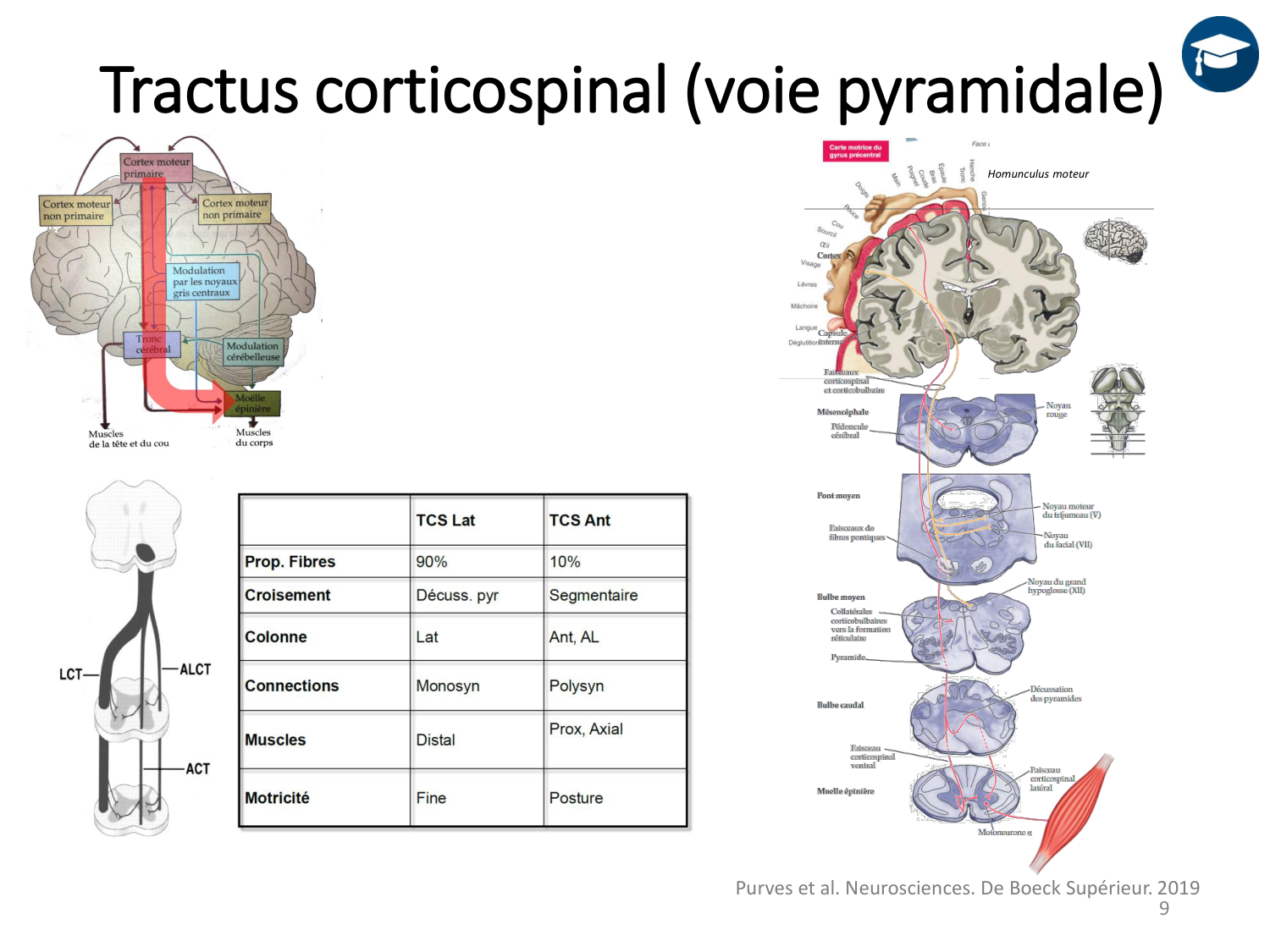 3-ControleDuMouvement 2026 page 9