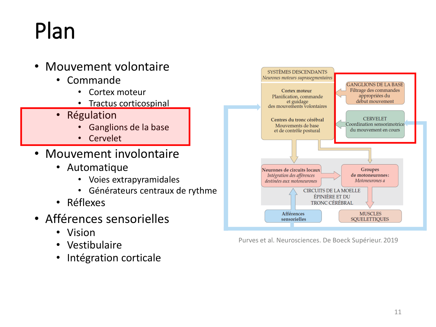 3-ControleDuMouvement 2026 page 11