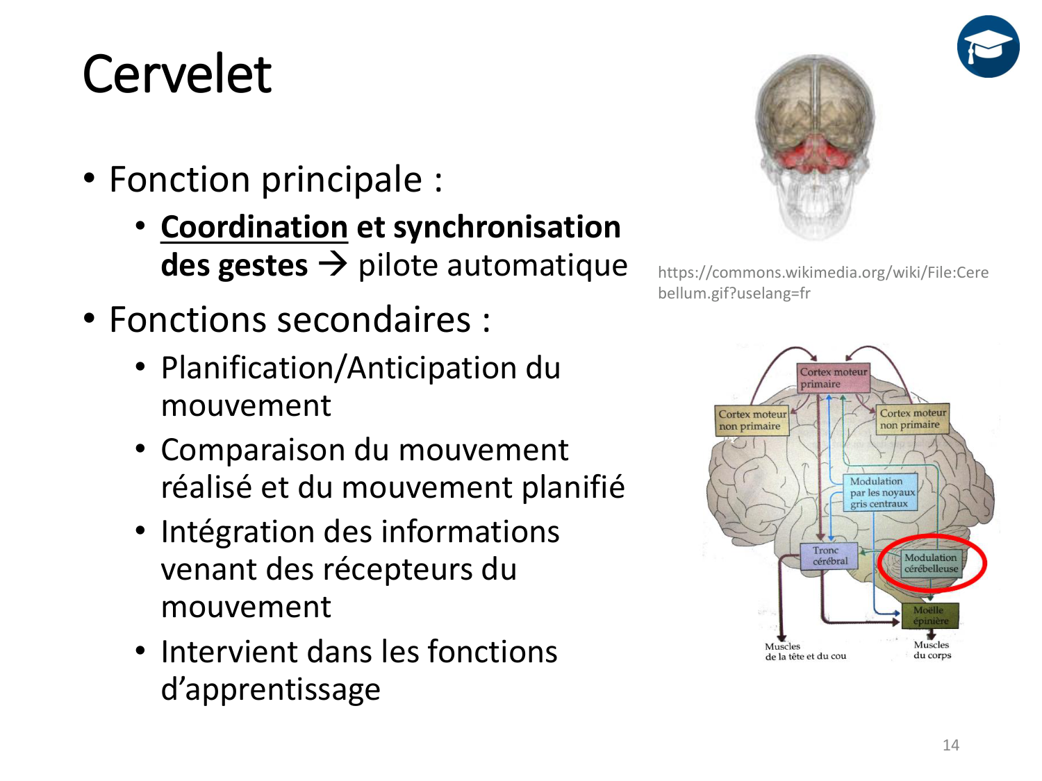 3-ControleDuMouvement 2026 page 14