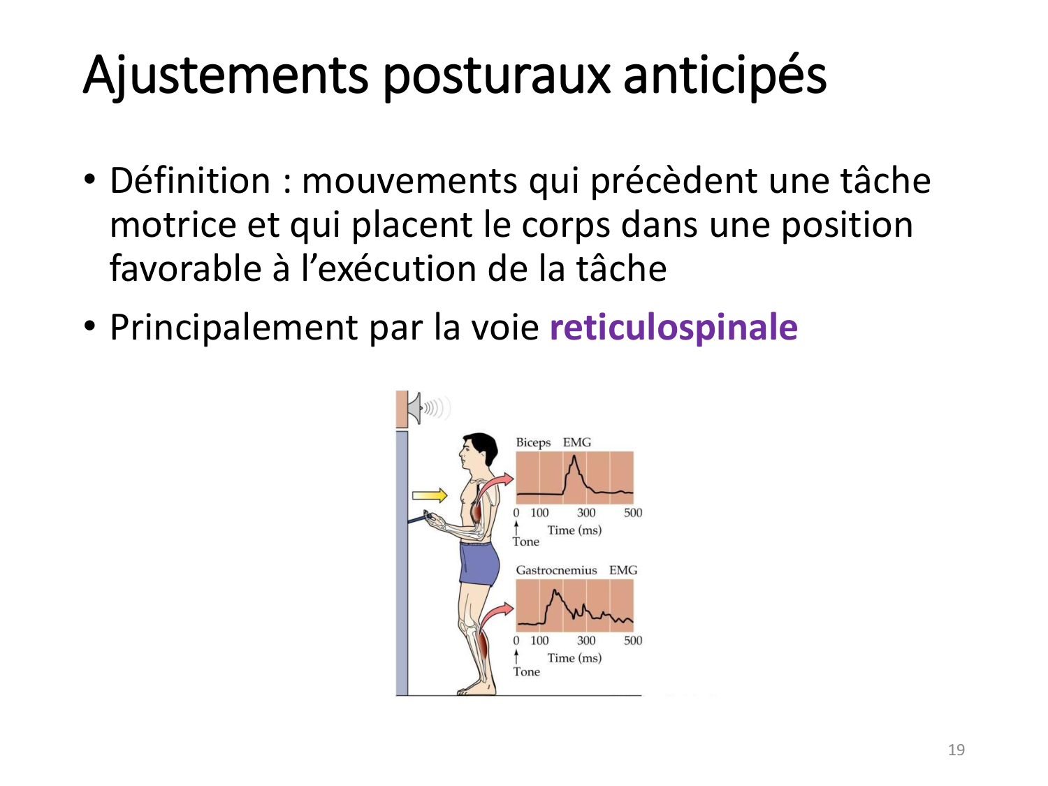 3-ControleDuMouvement 2026 page 19