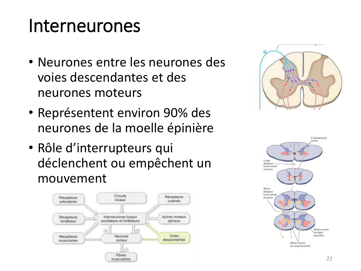3-ControleDuMouvement 2026 page 22