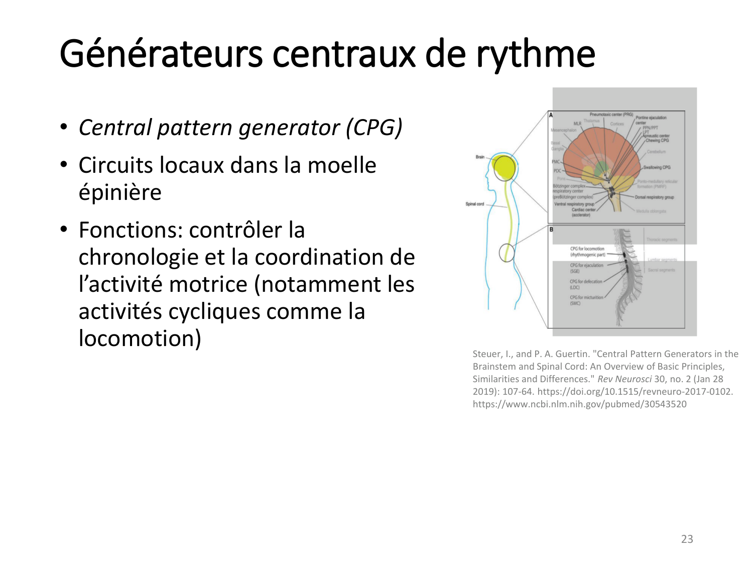 3-ControleDuMouvement 2026 page 23