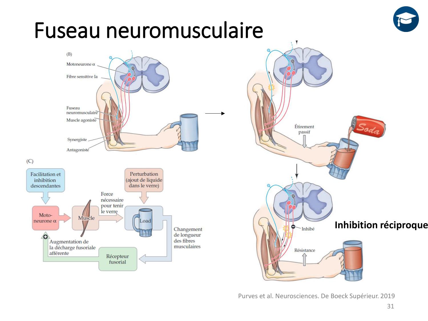 3-ControleDuMouvement 2026 page 30