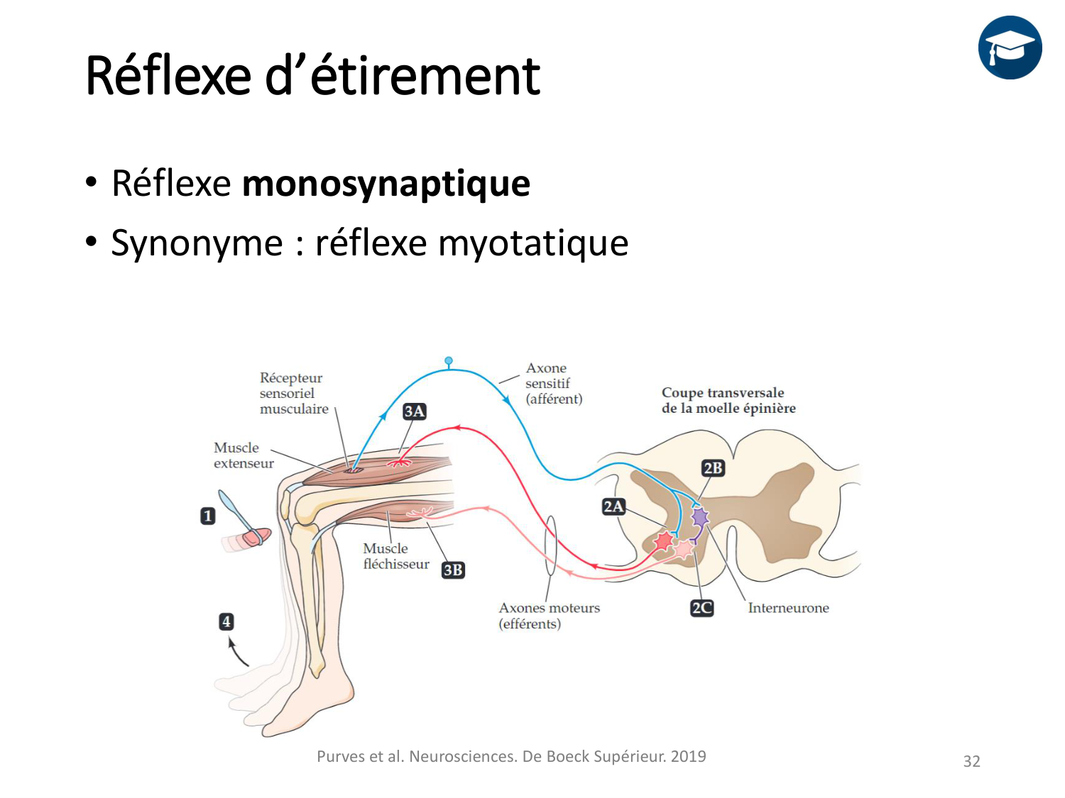 3-ControleDuMouvement 2026 page 31