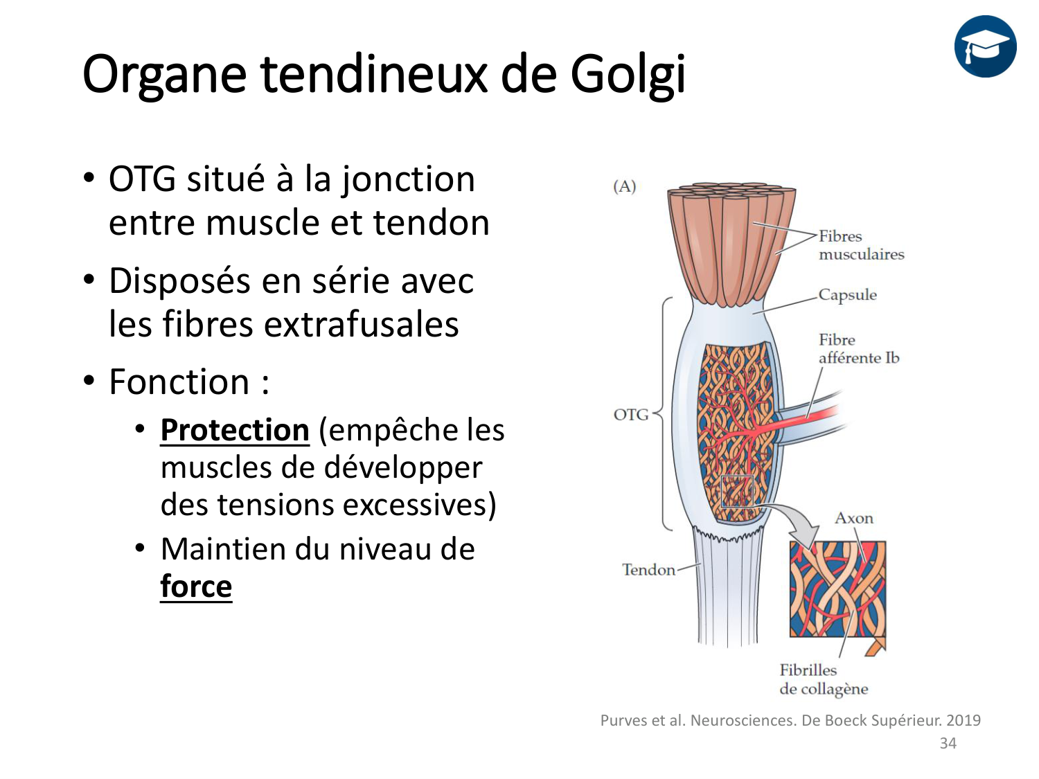 3-ControleDuMouvement 2026 page 33