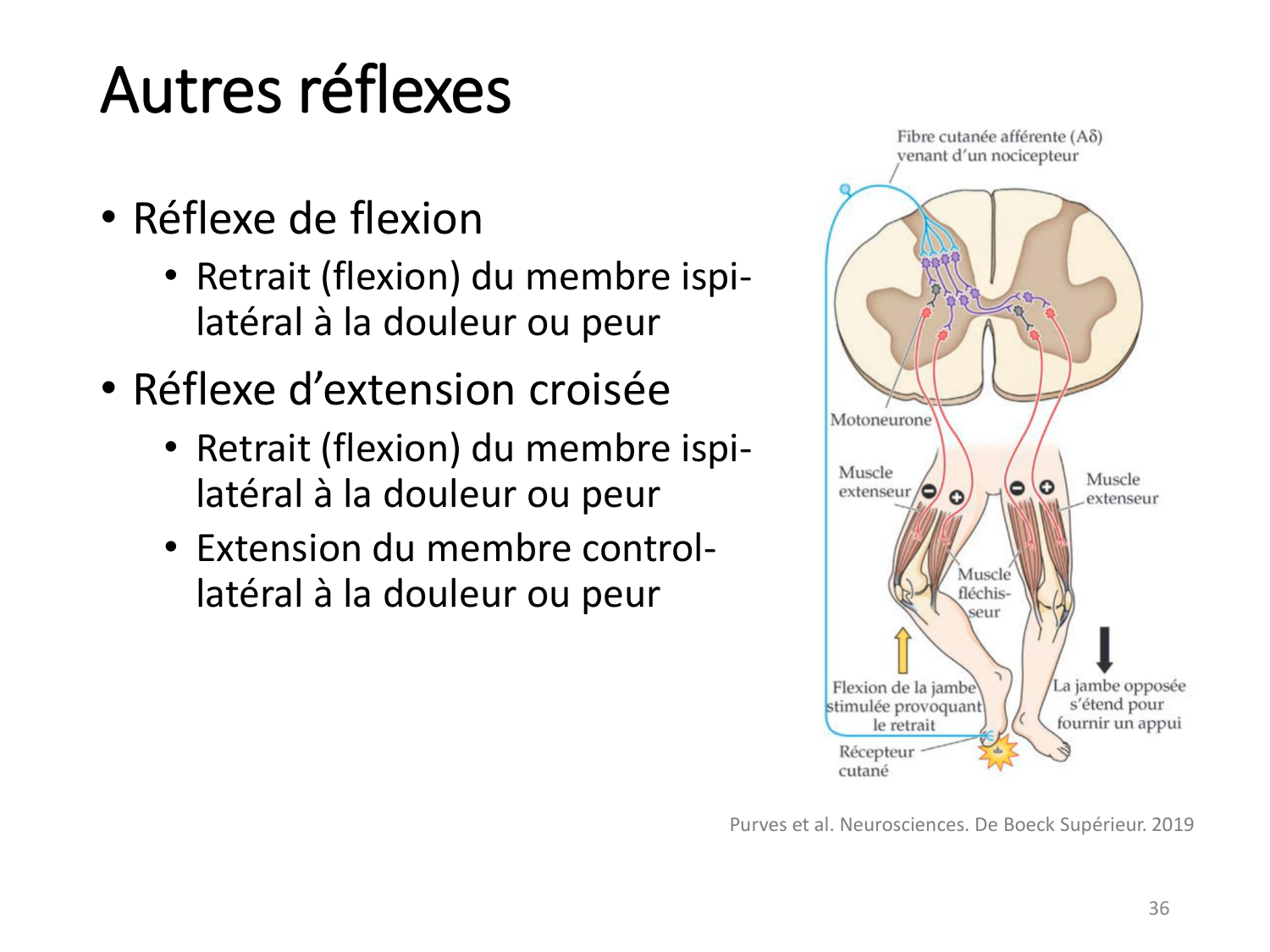 3-ControleDuMouvement 2026 page 35