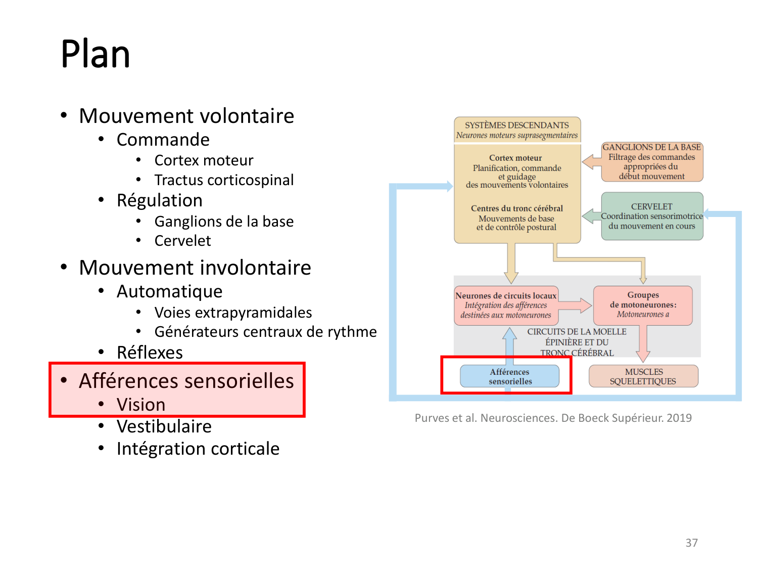 3-ControleDuMouvement 2026 page 36
