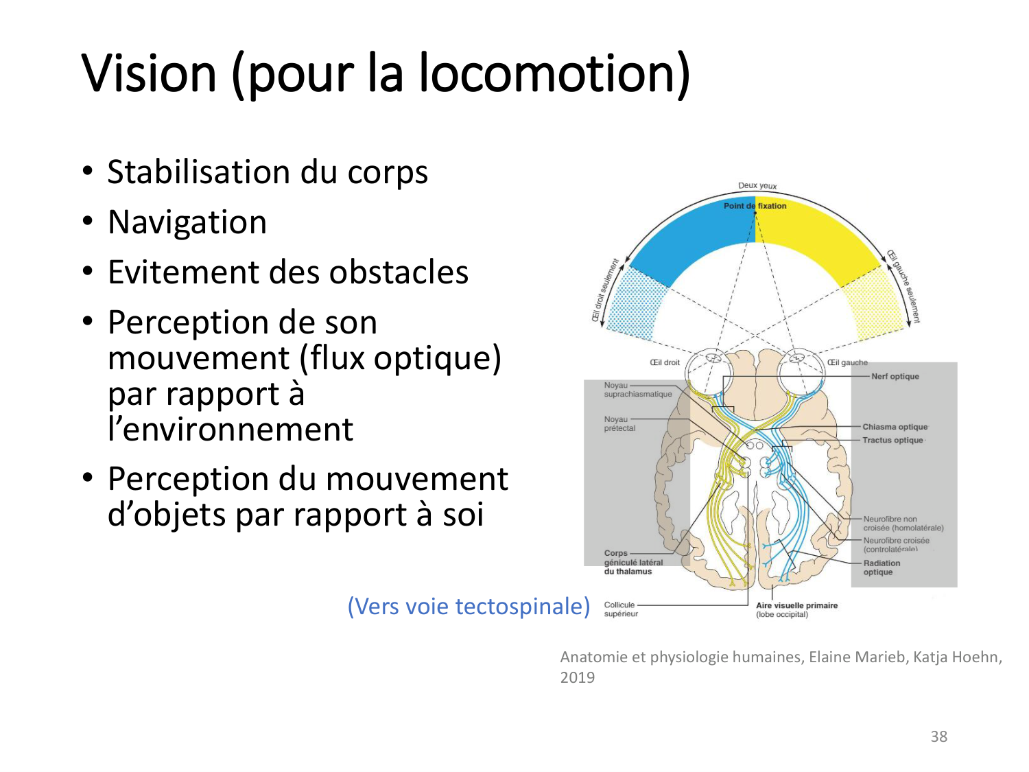 3-ControleDuMouvement 2026 page 37