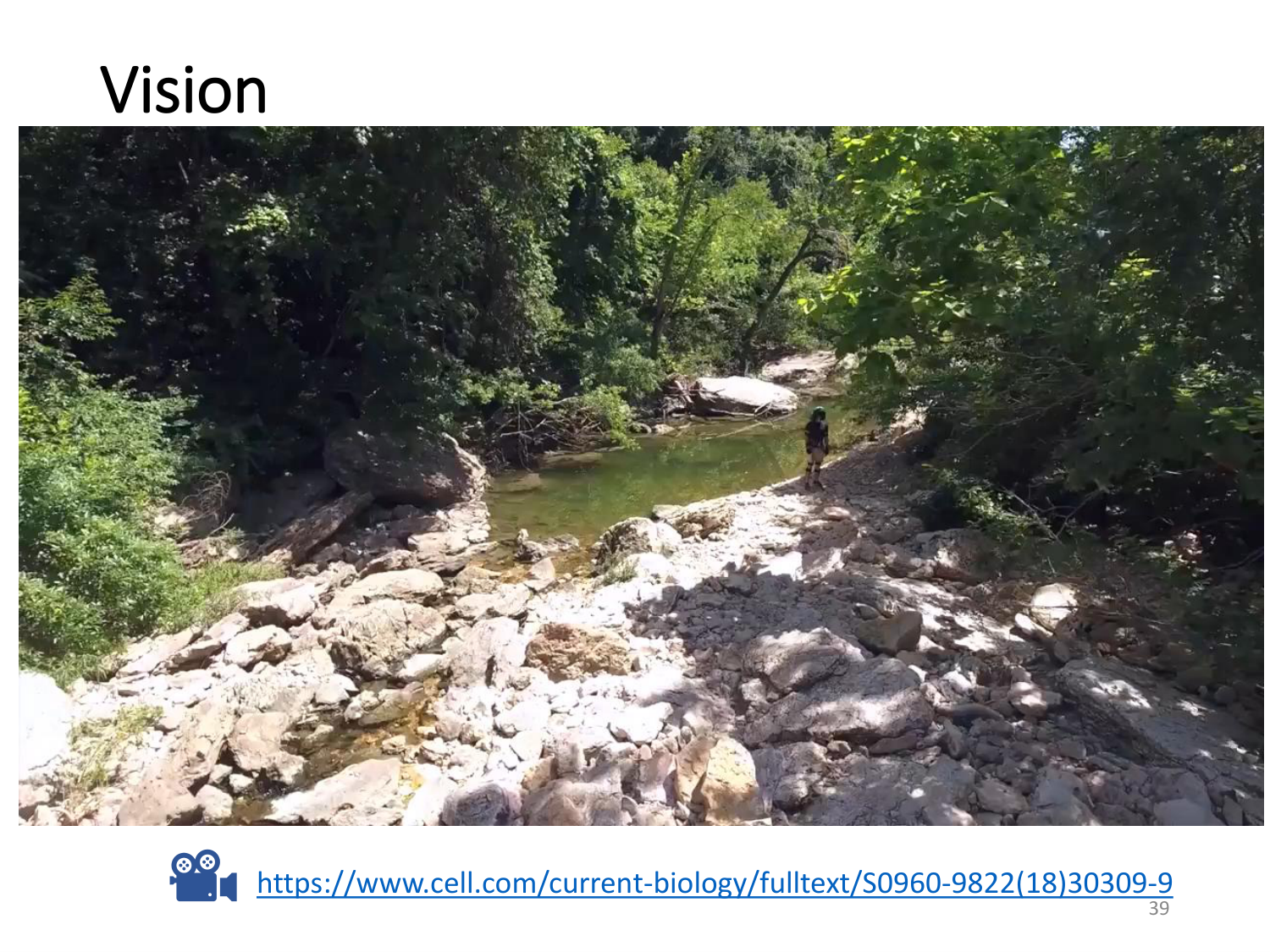 3-ControleDuMouvement 2026 page 38