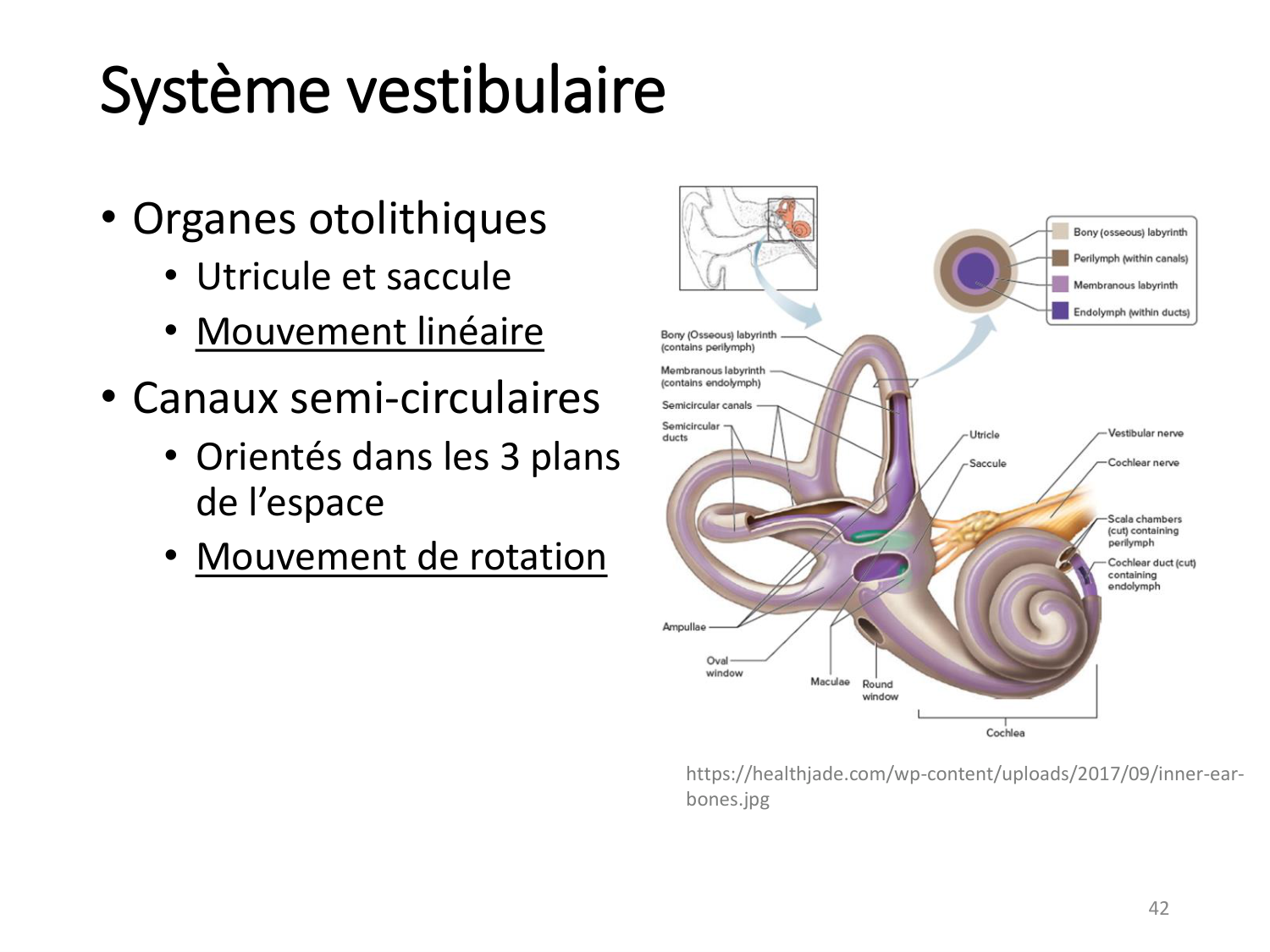 3-ControleDuMouvement 2026 page 41