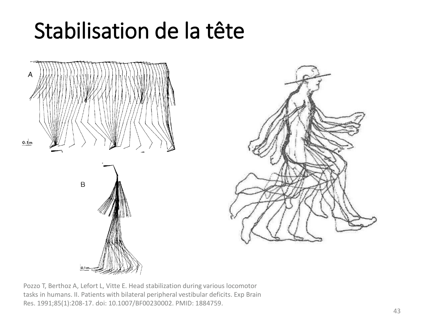 3-ControleDuMouvement 2026 page 42