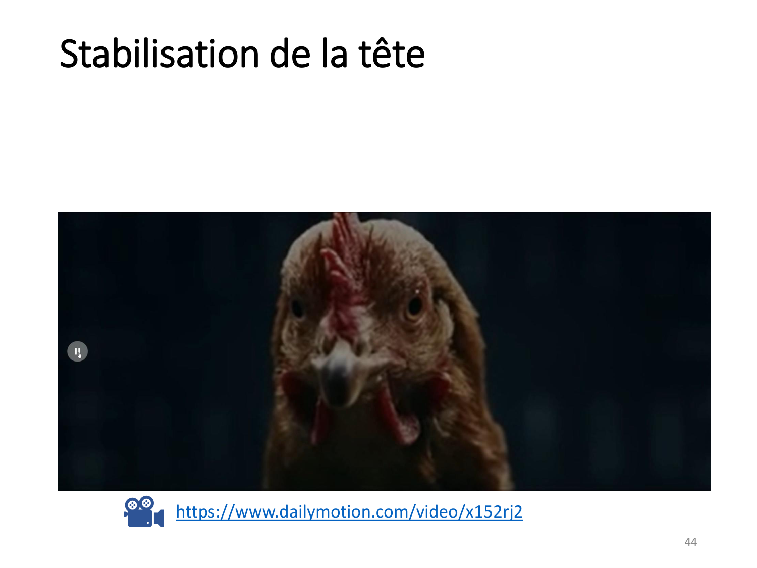 3-ControleDuMouvement 2026 page 43