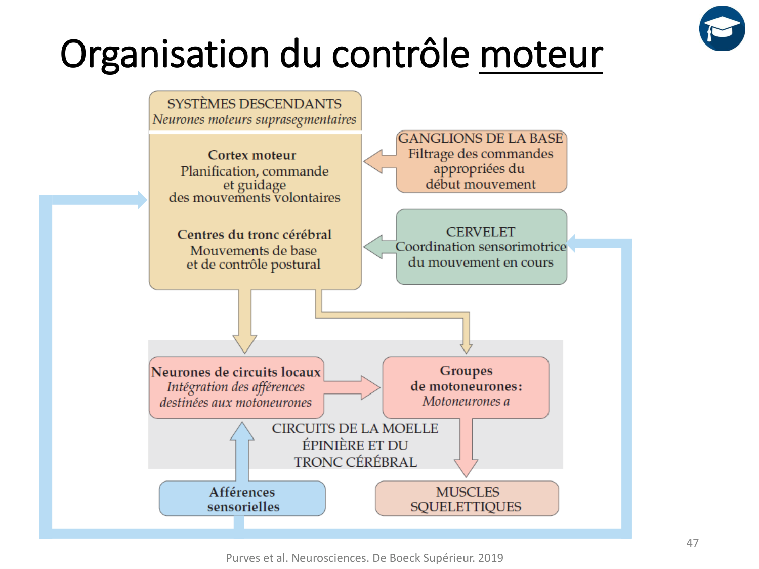 3-ControleDuMouvement 2026 page 46
