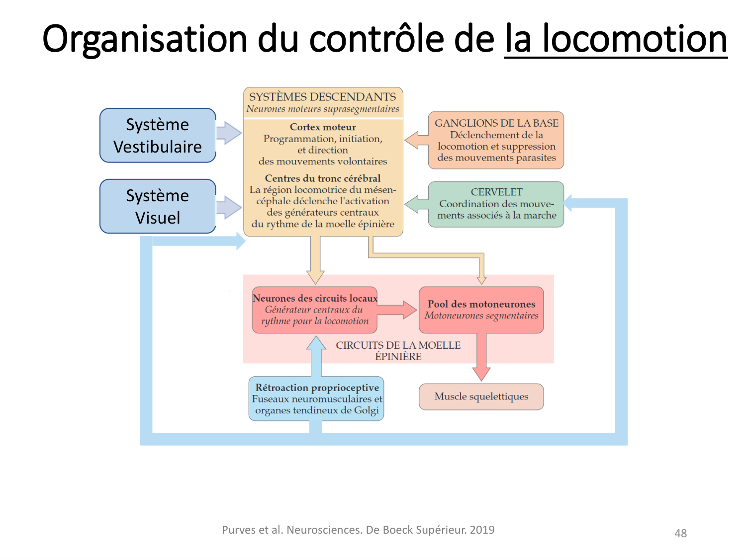 3-ControleDuMouvement 2026 page 47