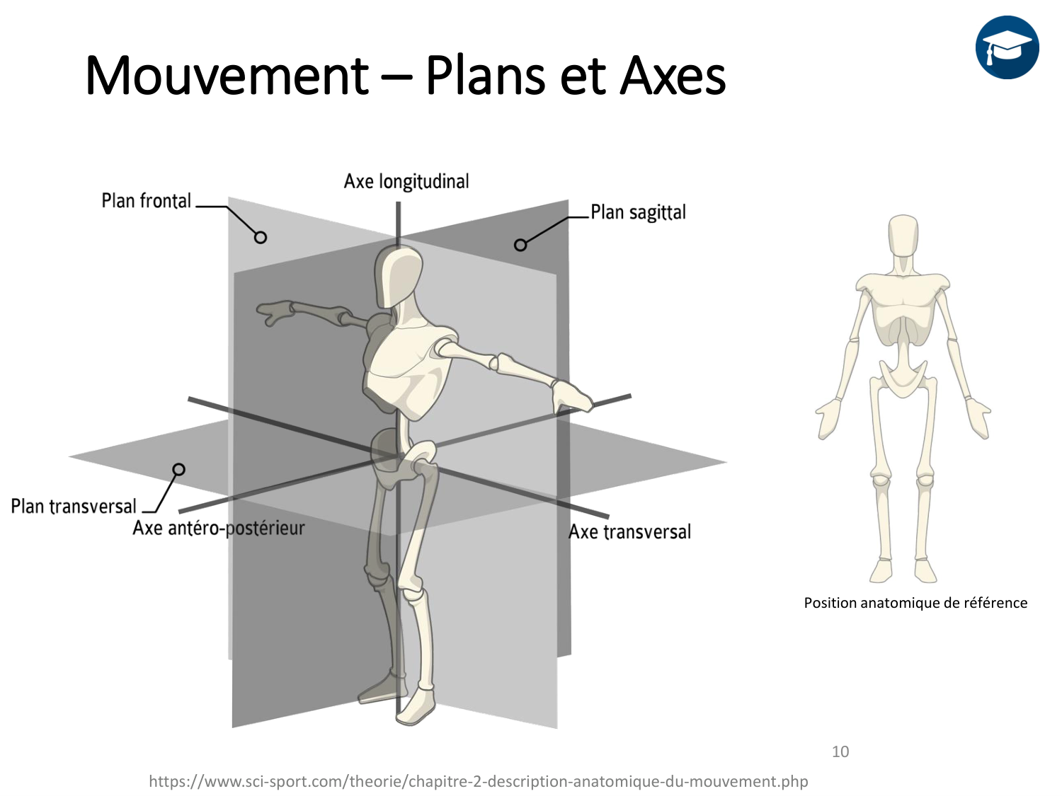 4-BiomecaniqueDuMembreInferieur-2026 page 10