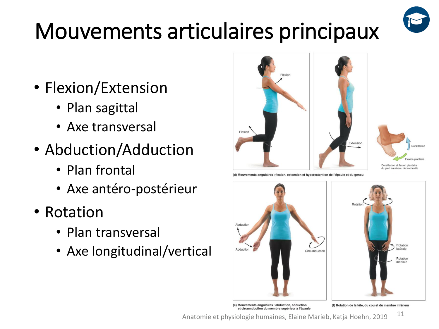 4-BiomecaniqueDuMembreInferieur-2026 page 11