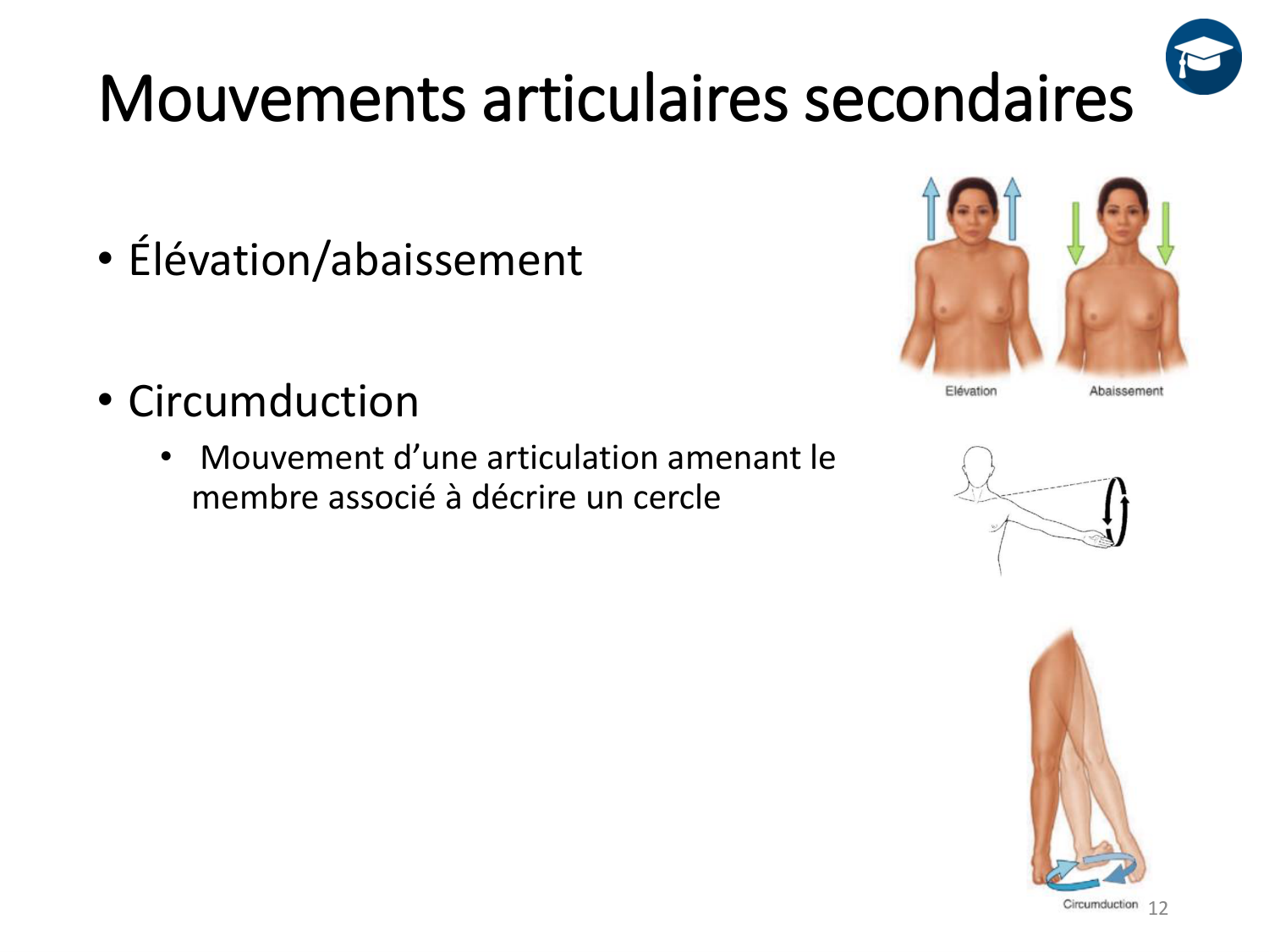 4-BiomecaniqueDuMembreInferieur-2026 page 12