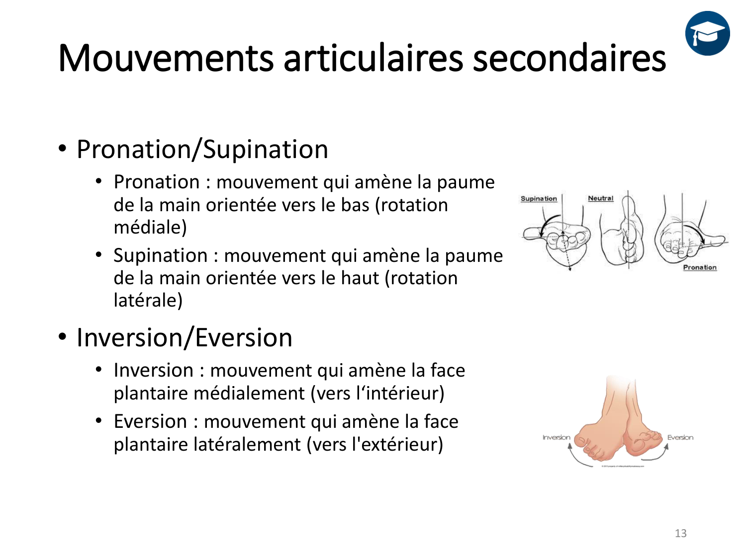4-BiomecaniqueDuMembreInferieur-2026 page 13