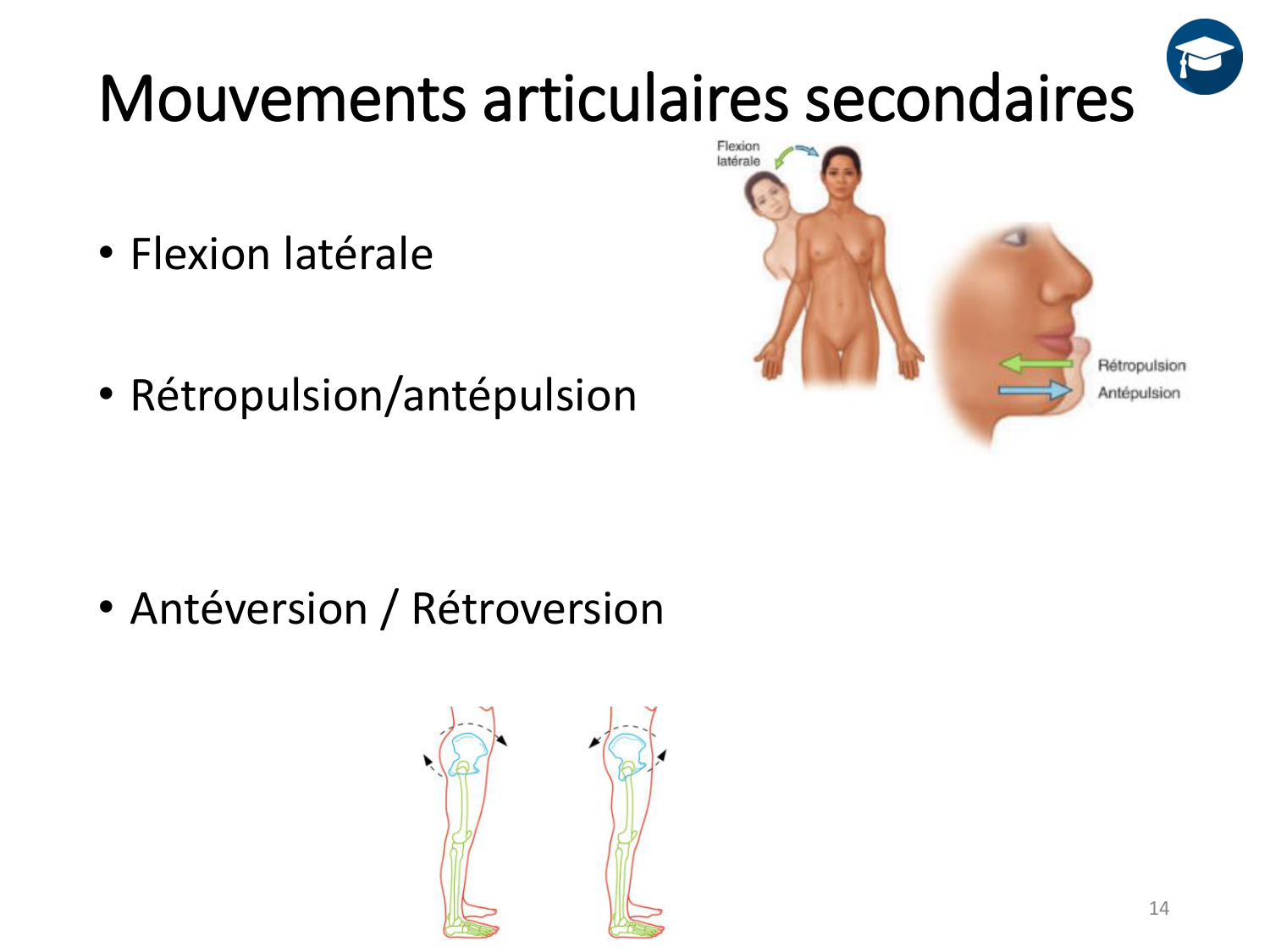 4-BiomecaniqueDuMembreInferieur-2026 page 14