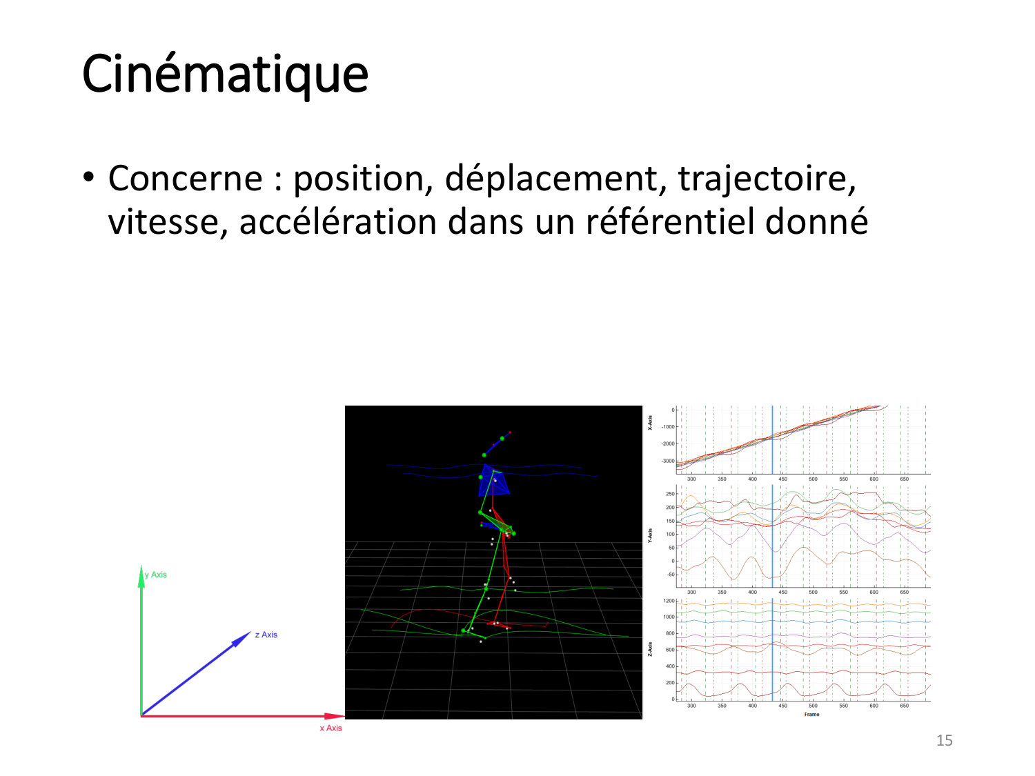 4-BiomecaniqueDuMembreInferieur-2026 page 15