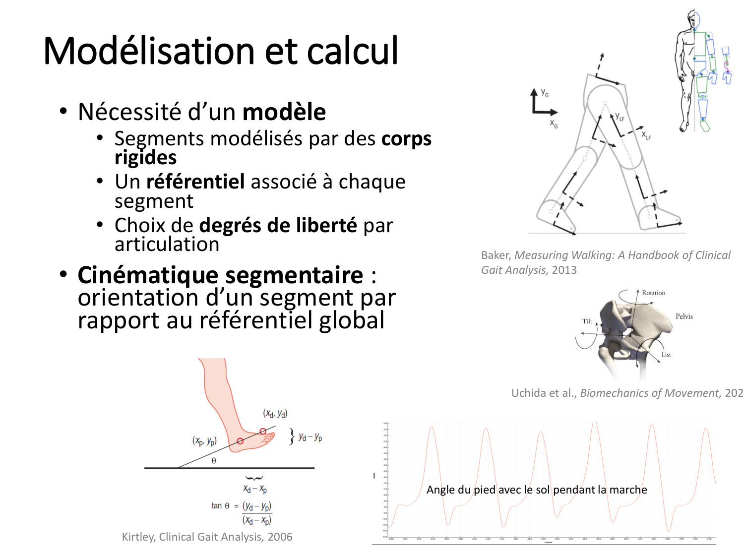 4-BiomecaniqueDuMembreInferieur-2026 page 16