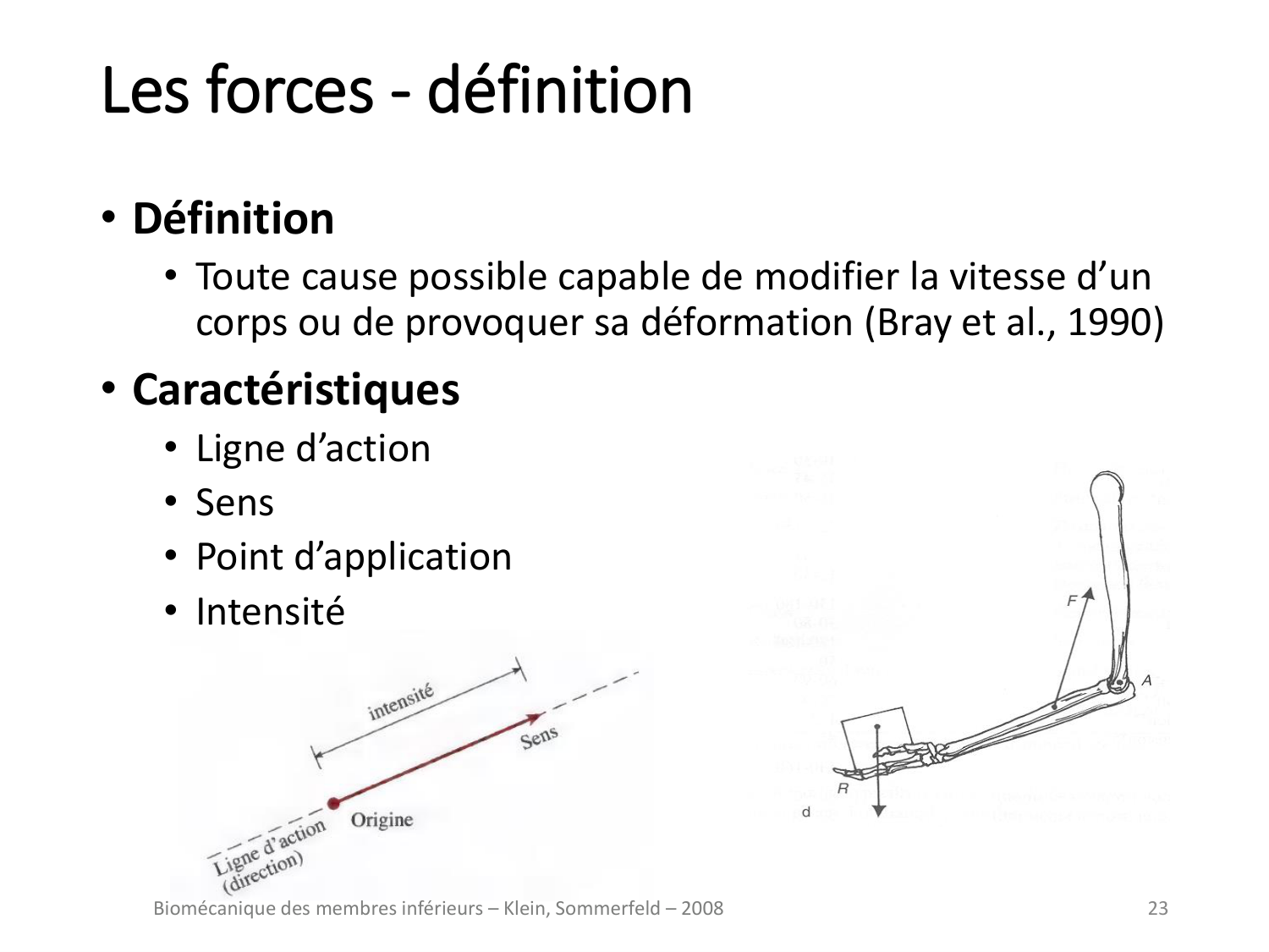 4-BiomecaniqueDuMembreInferieur-2026 page 23
