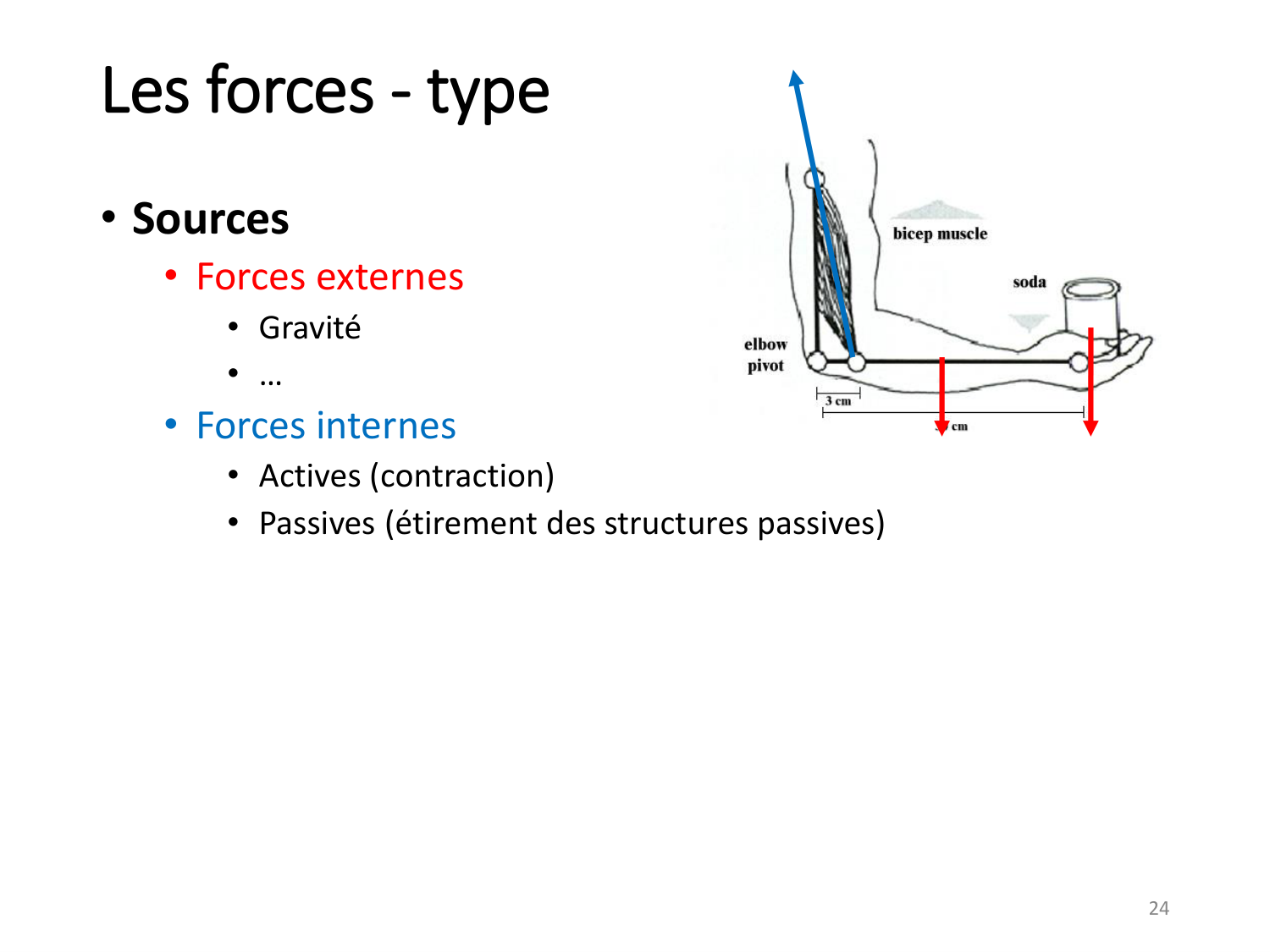 4-BiomecaniqueDuMembreInferieur-2026 page 24