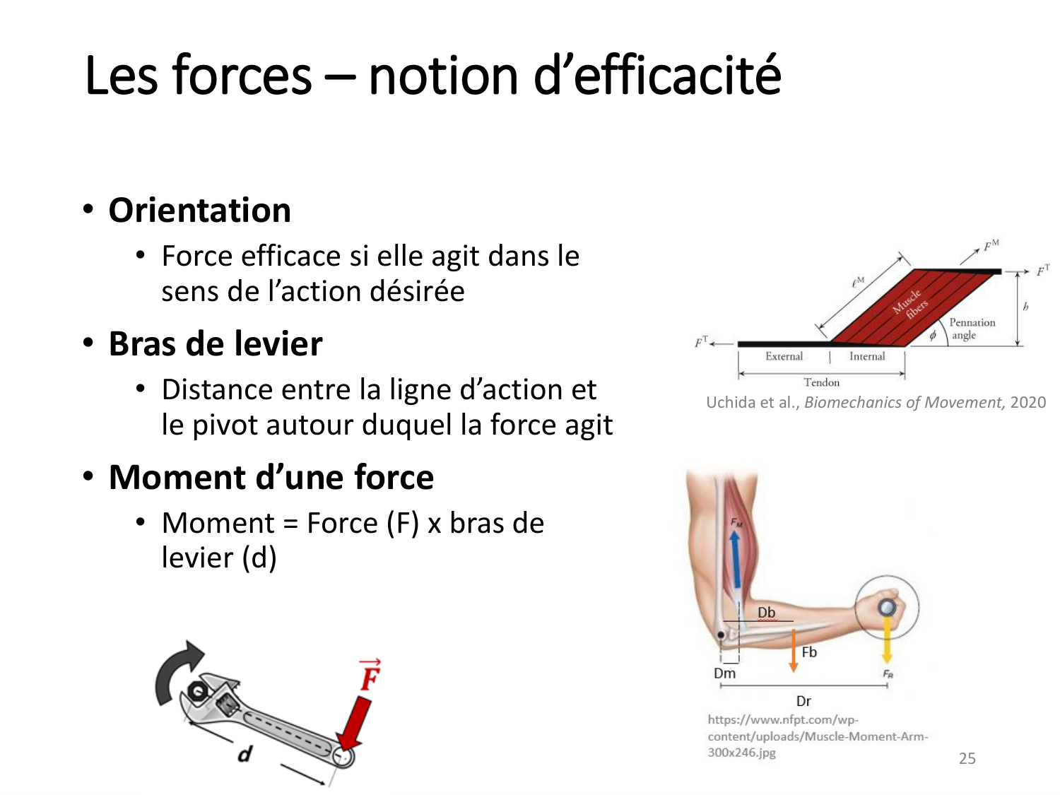 4-BiomecaniqueDuMembreInferieur-2026 page 25