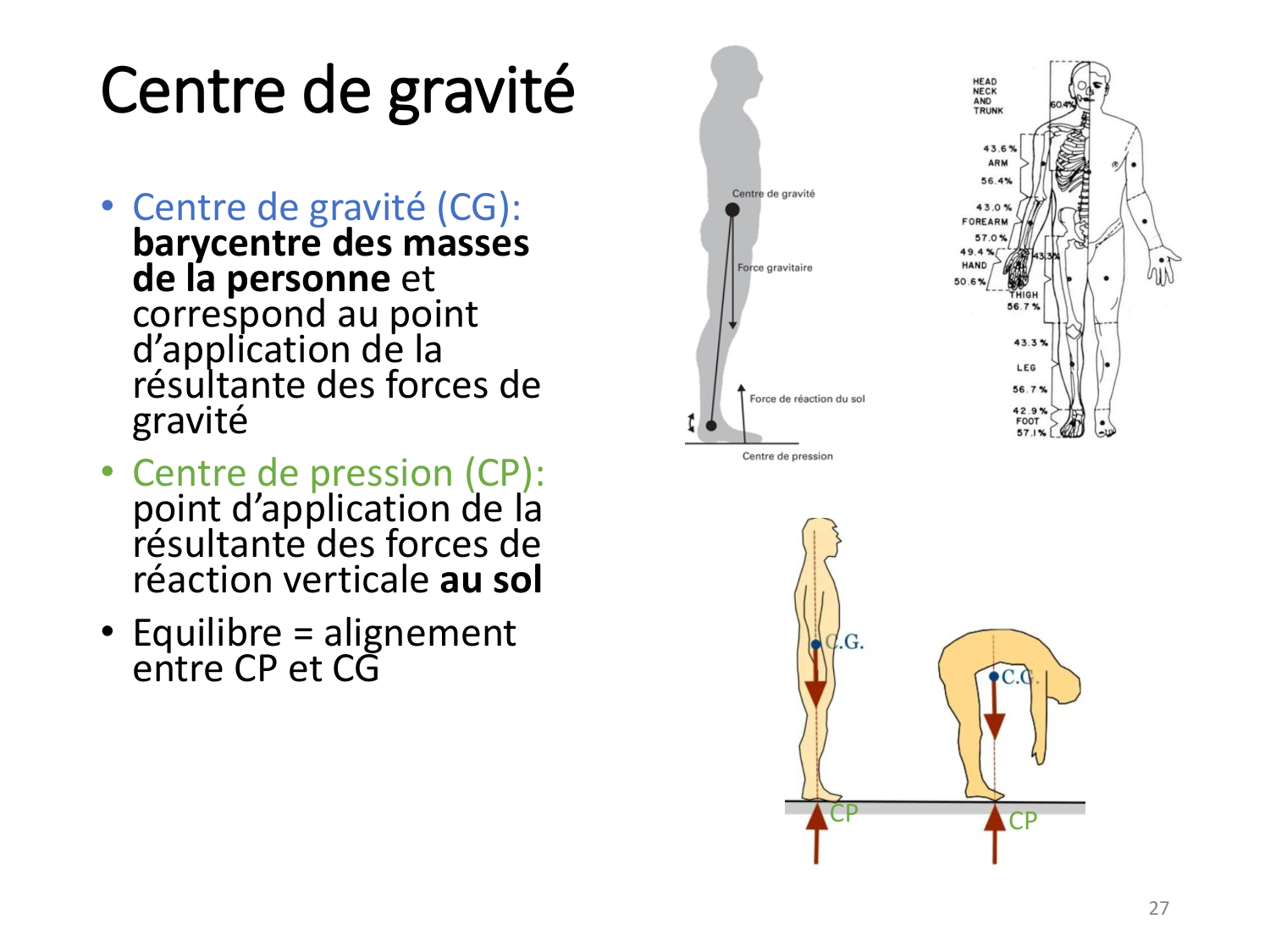 4-BiomecaniqueDuMembreInferieur-2026 page 27