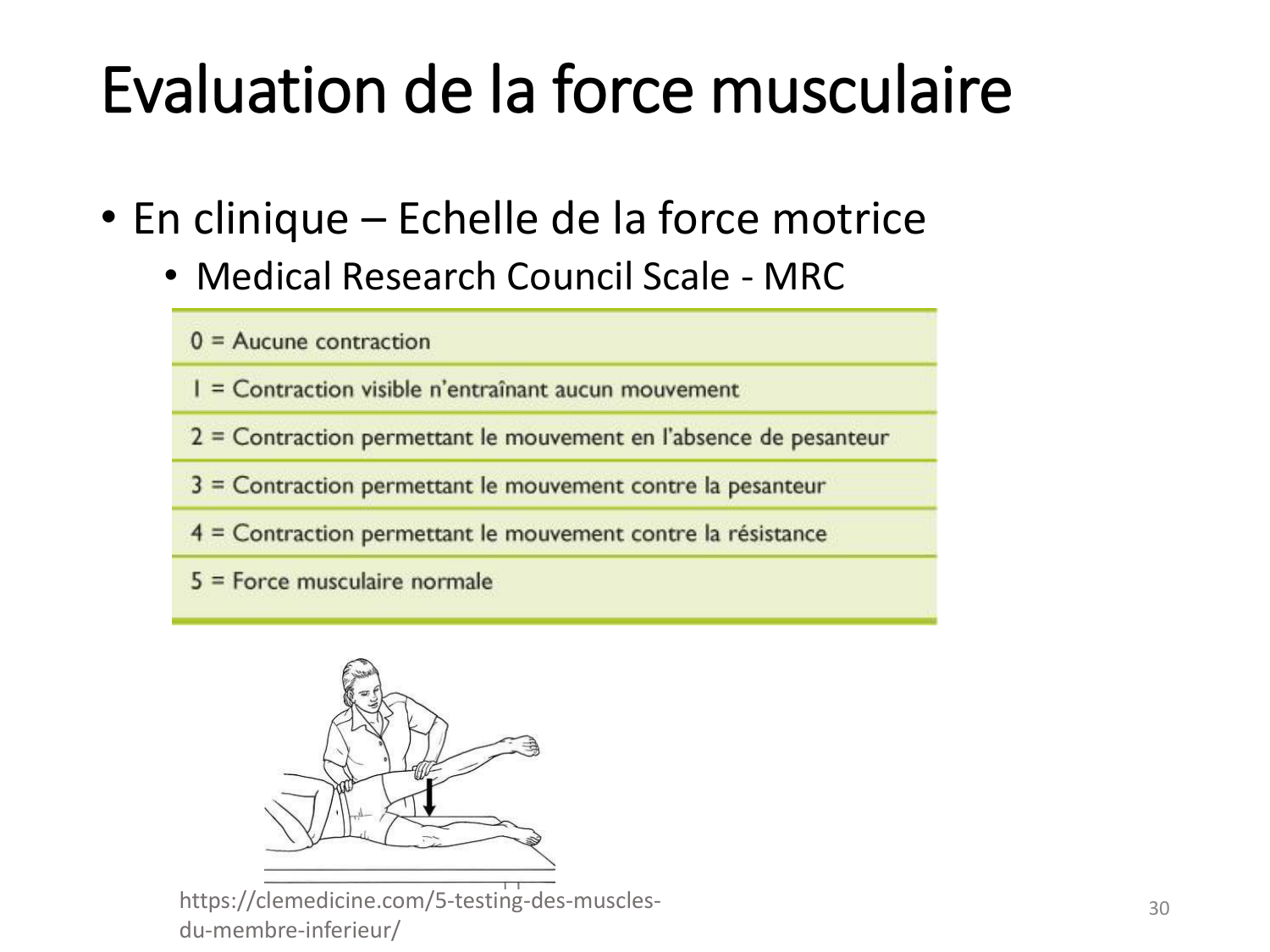 4-BiomecaniqueDuMembreInferieur-2026 page 30